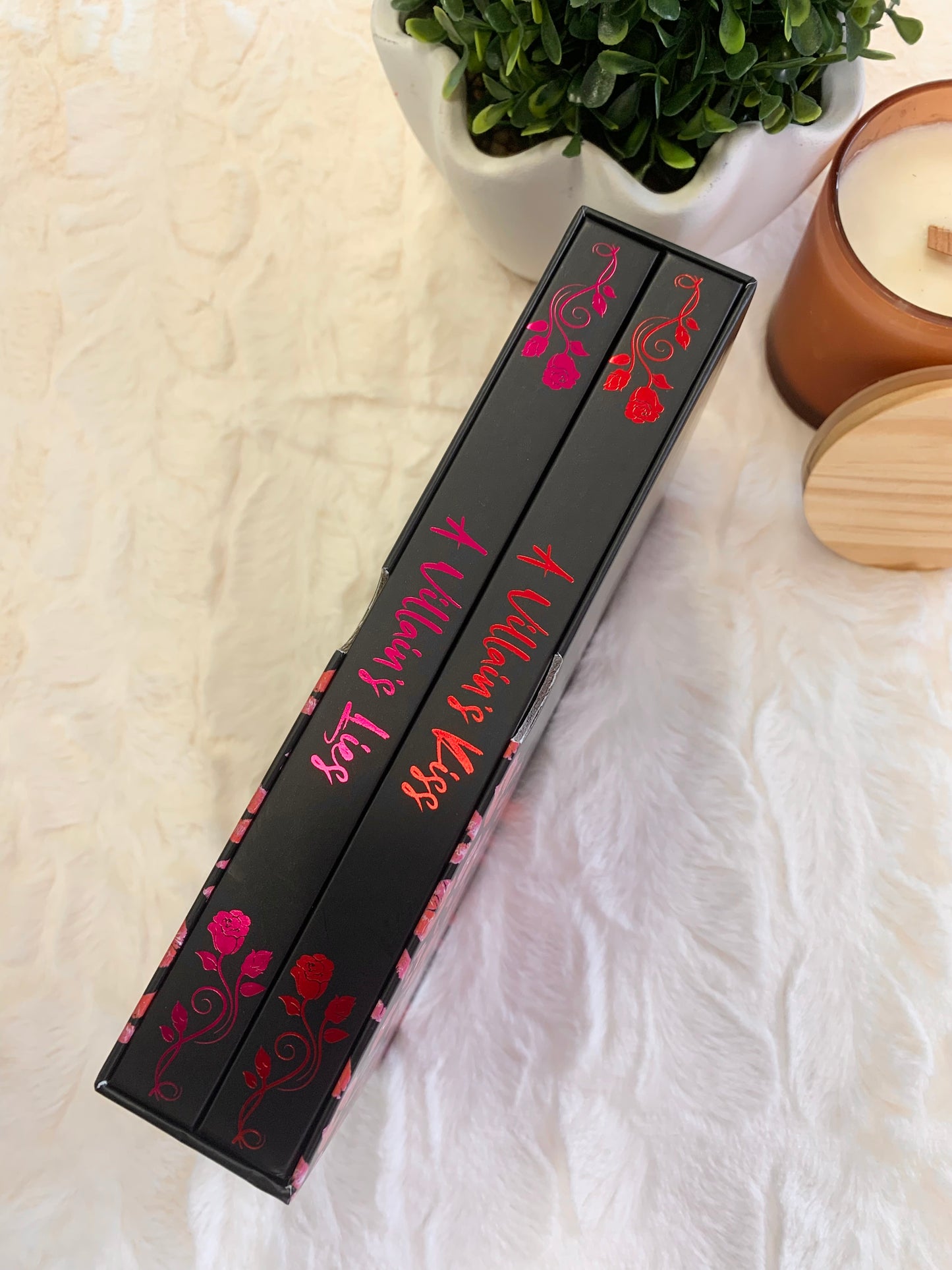 A Villain’s Duet Special Edition by T. L Smith