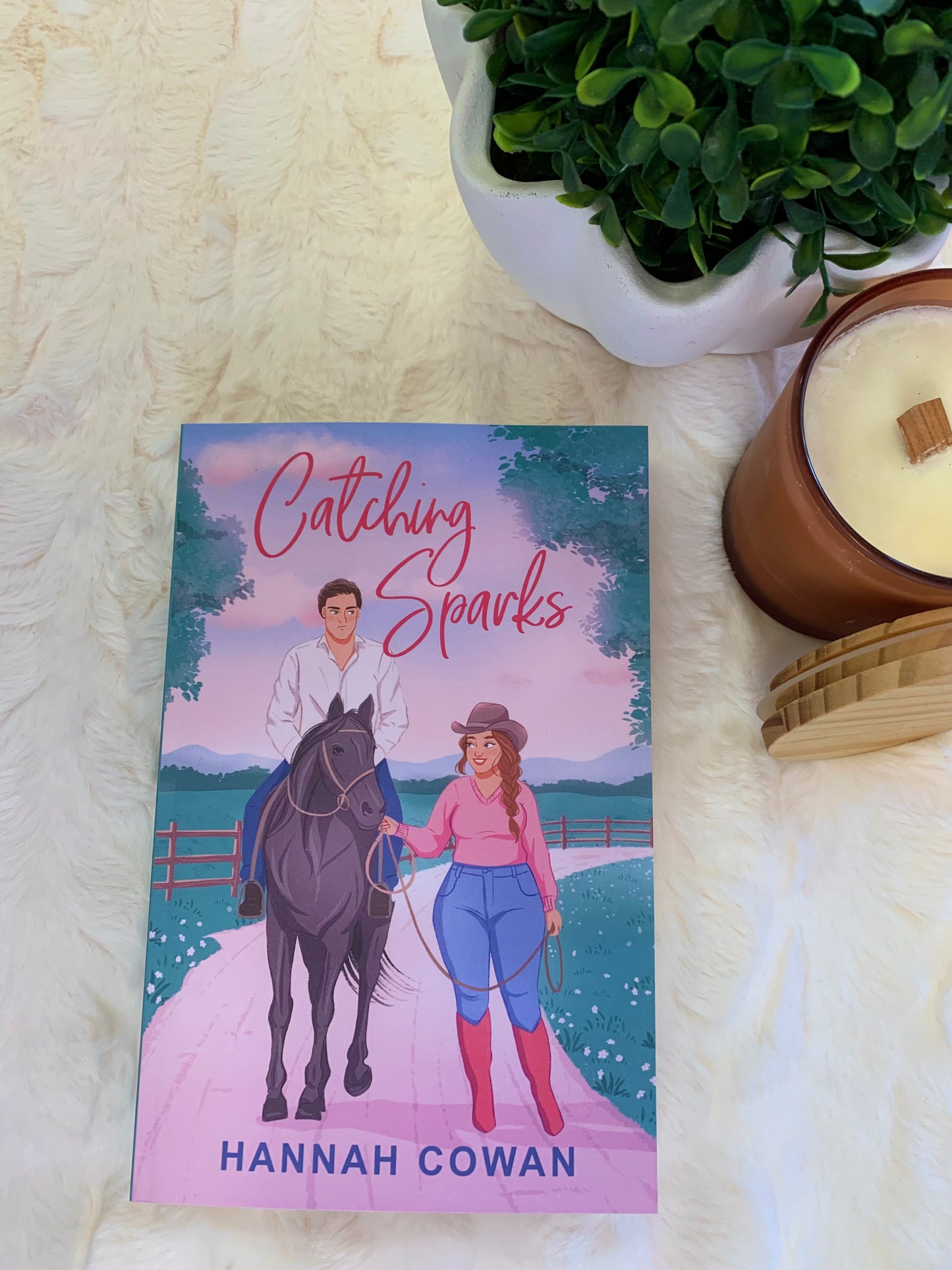 Catching Sparks by Hannah Cowan