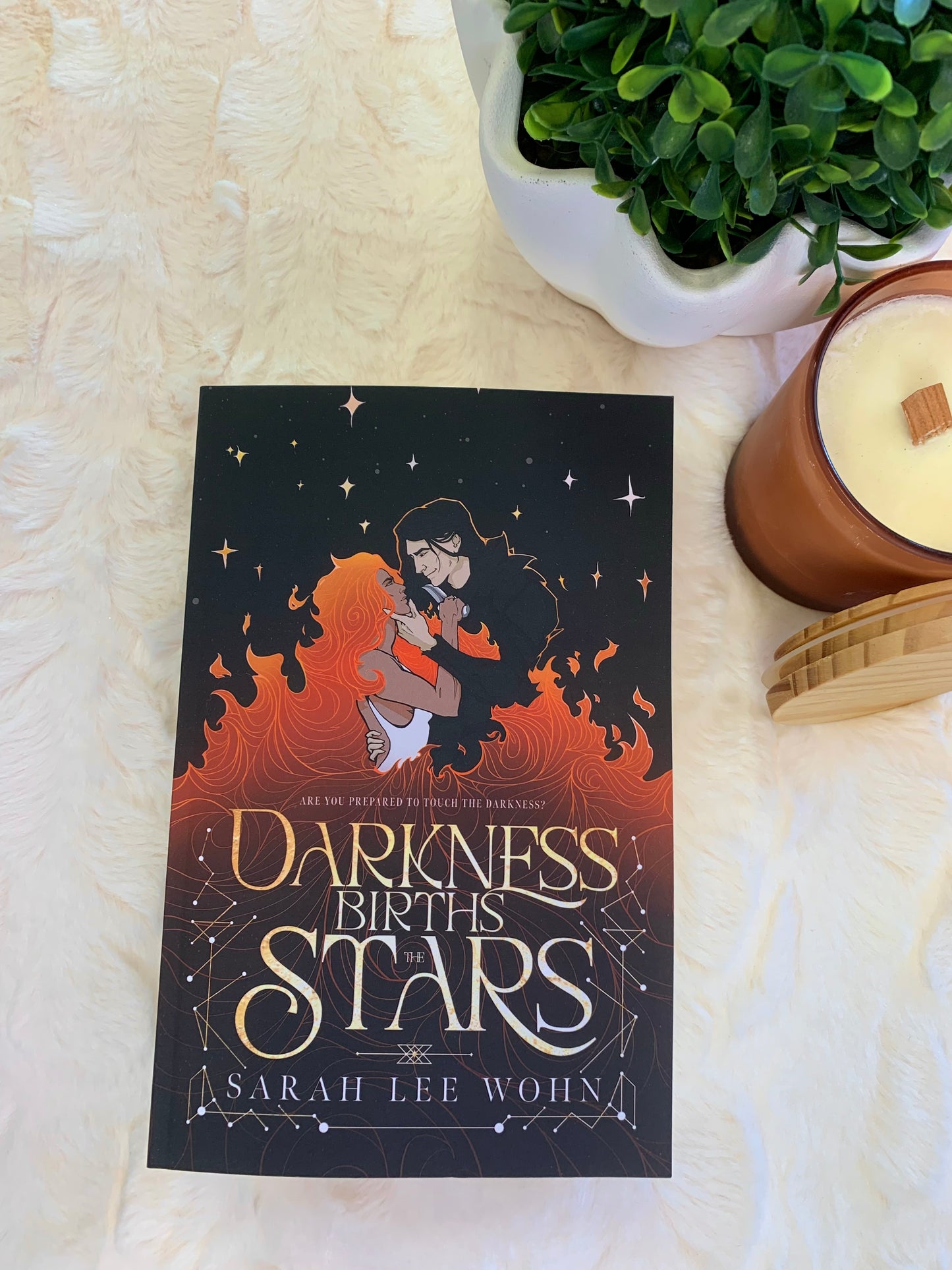 Darkness Births the Stars by Sarah Lee Wohn