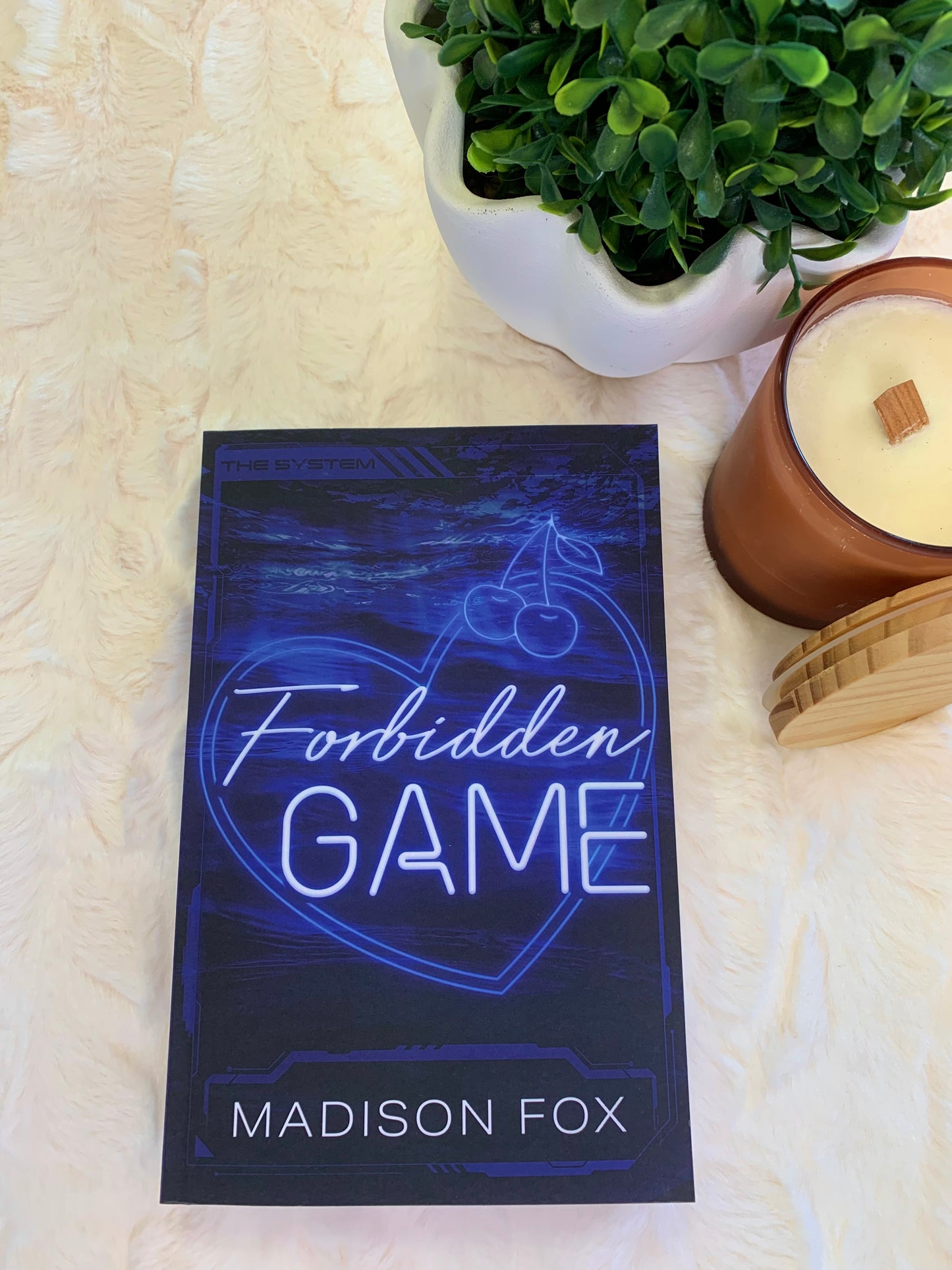 Forbidden Game by Madison Fox