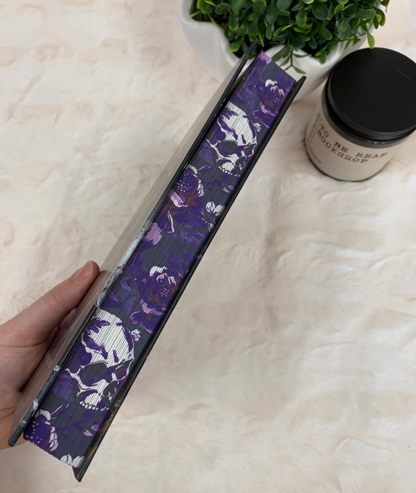 The Chief by Kally Ash Special Edition