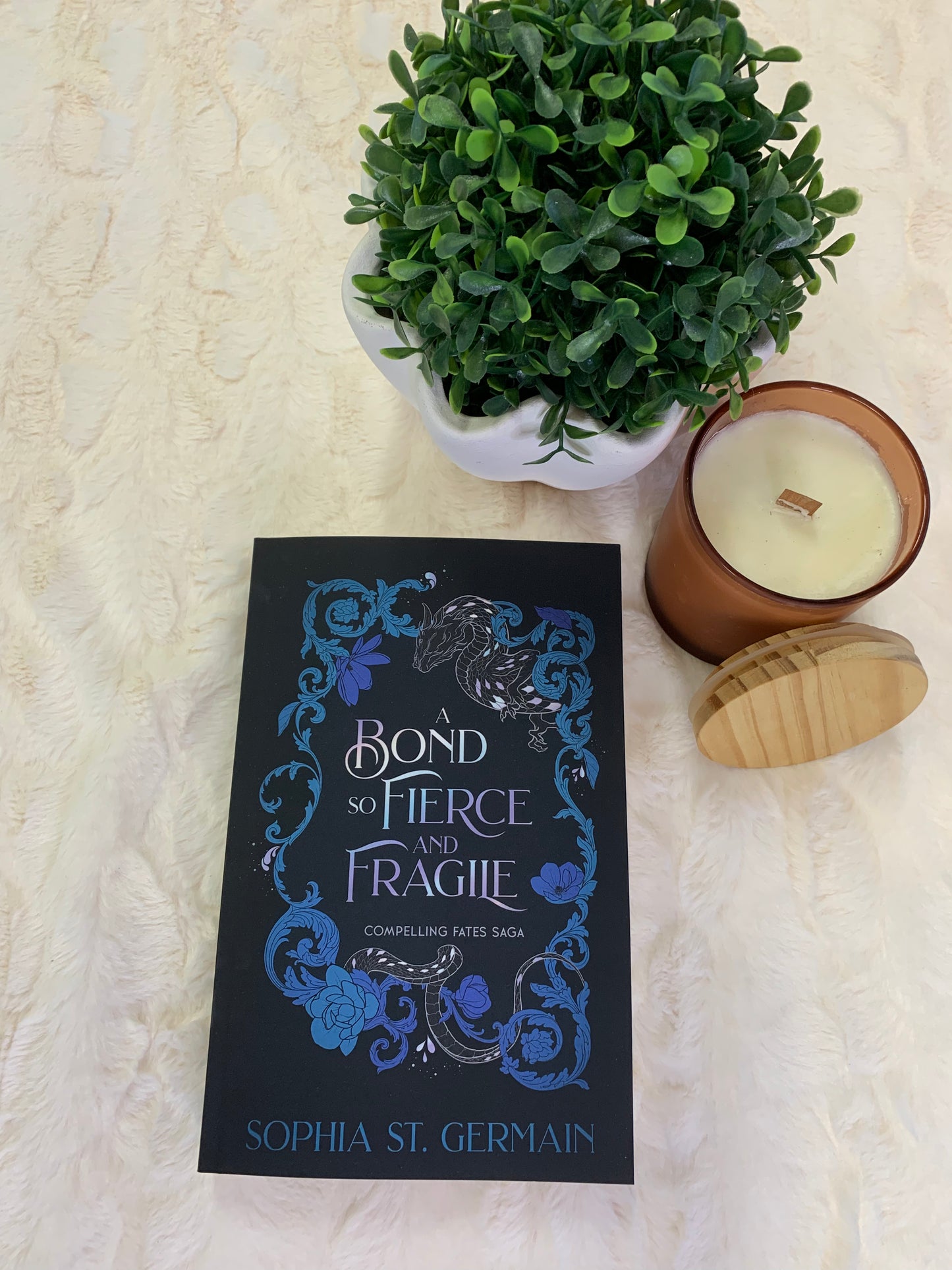 A Bond so Fierce and Fragile by Sophia St Germain