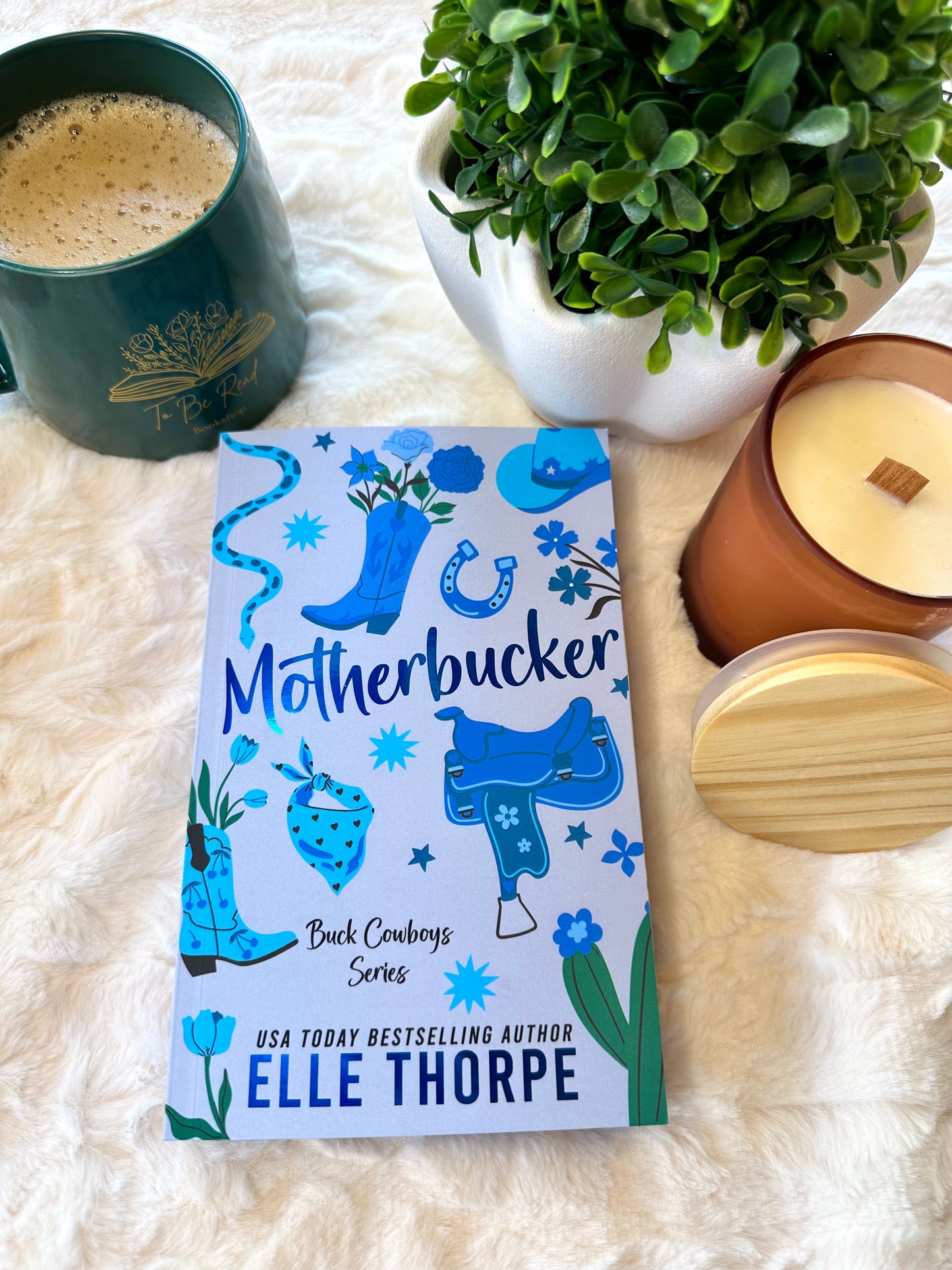 Buck Cowboys Special Edition Bundle by Elle Thorpe