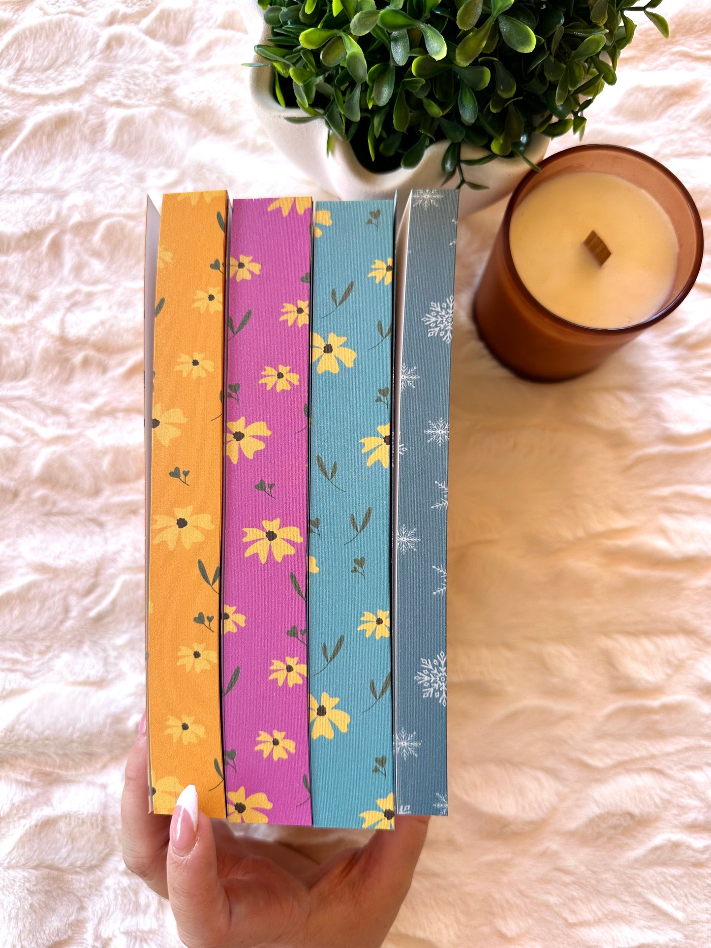Dirty Cowboys Special Edition Bundle by Elle Thorpe