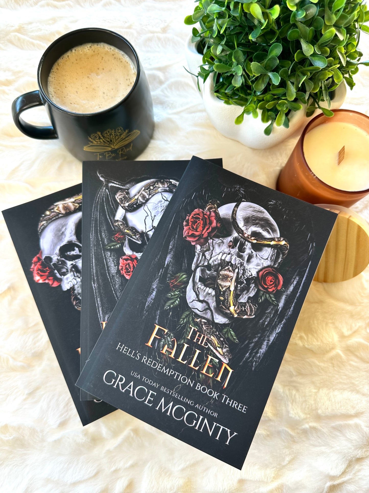 The Fallen by Grace McGinty