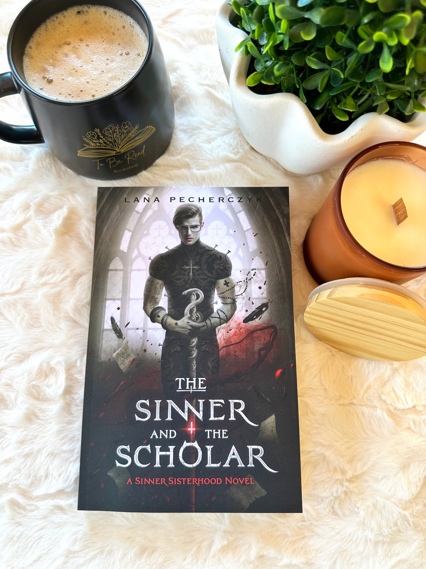 The Sinner and the Scholar by Lana Pecherczyk