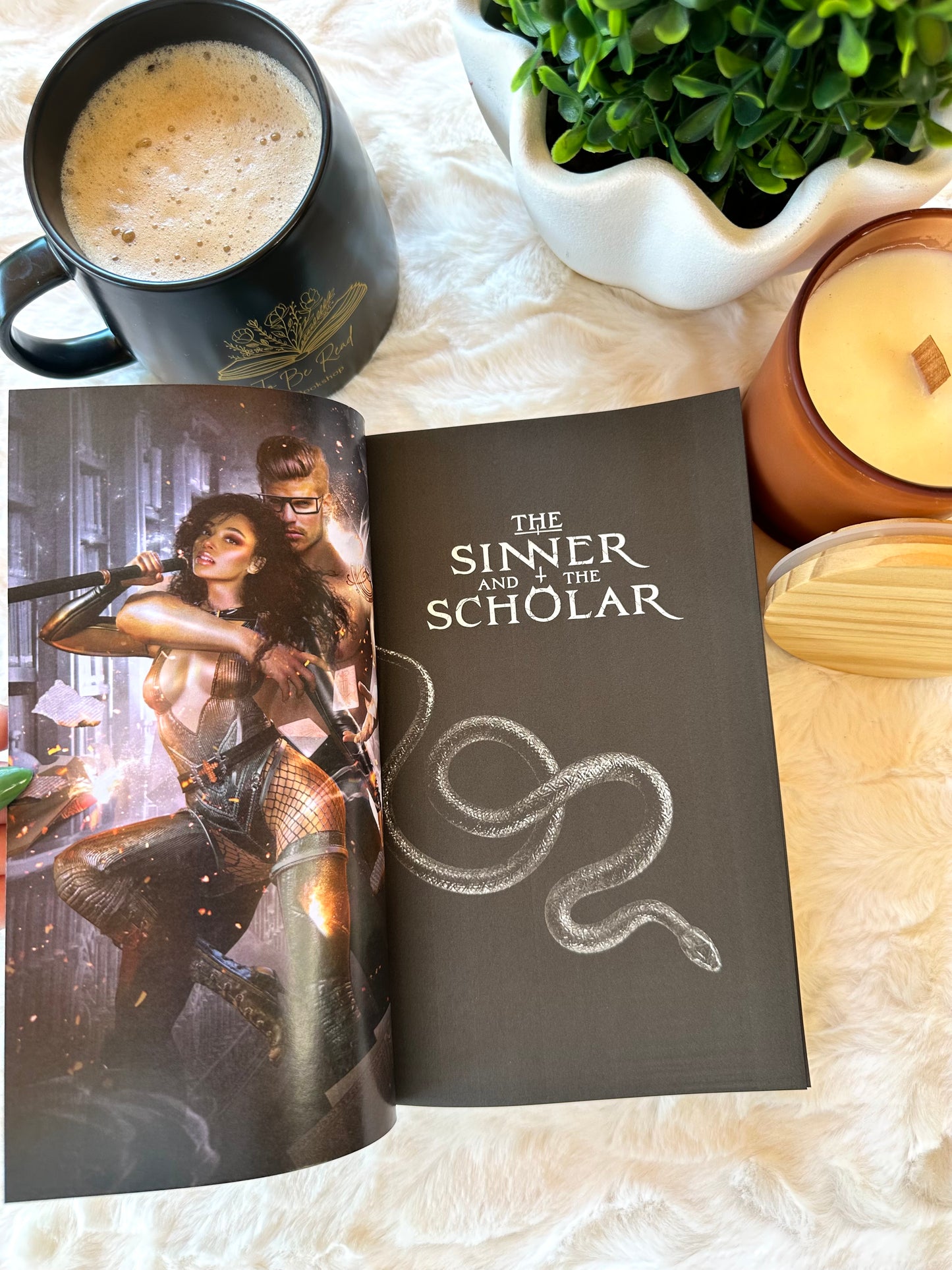 The Sinner and the Scholar by Lana Pecherczyk