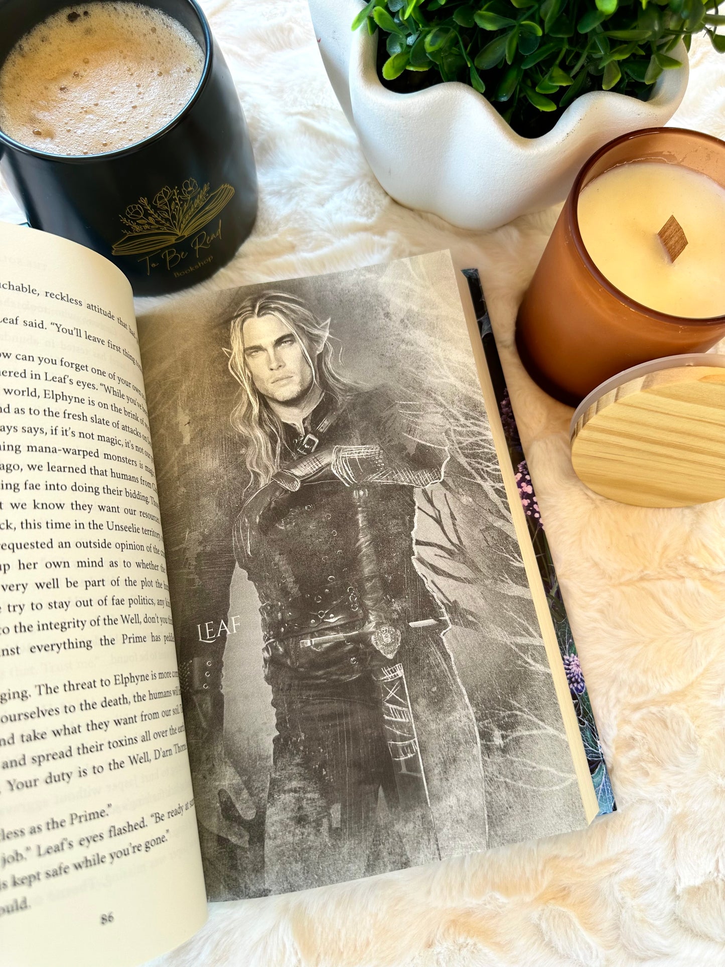 The Solace of Sharp Claws by Lana Pecherczyk
