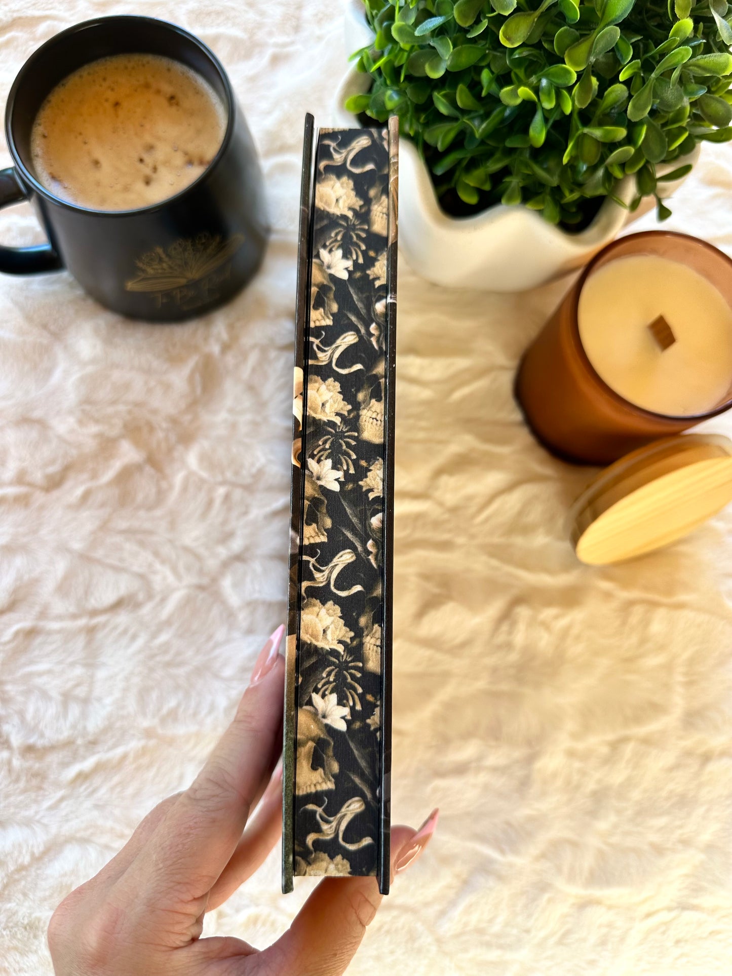 The Warlord by Kally Ash Special Edition