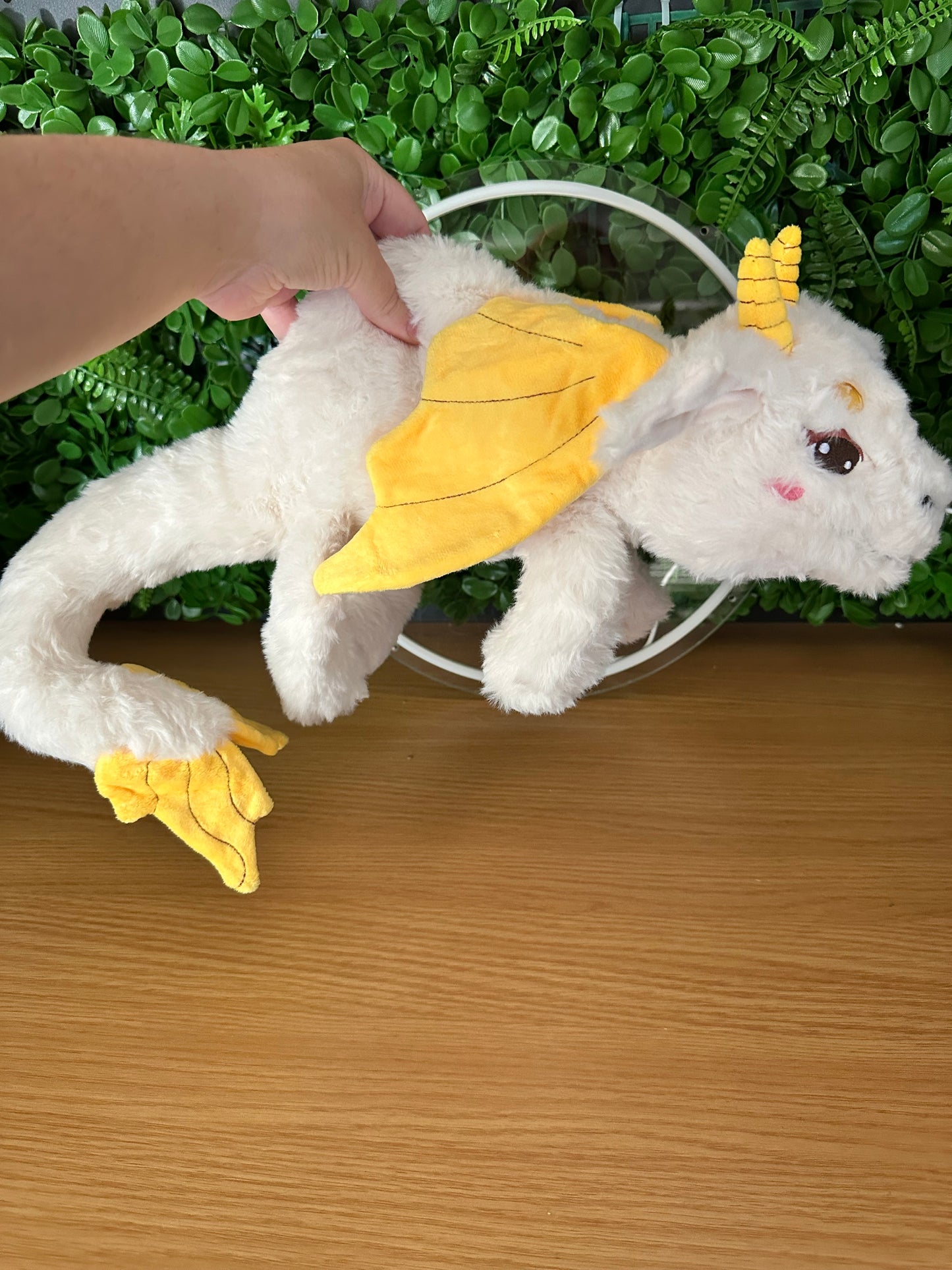 Ember the Baby Dragon