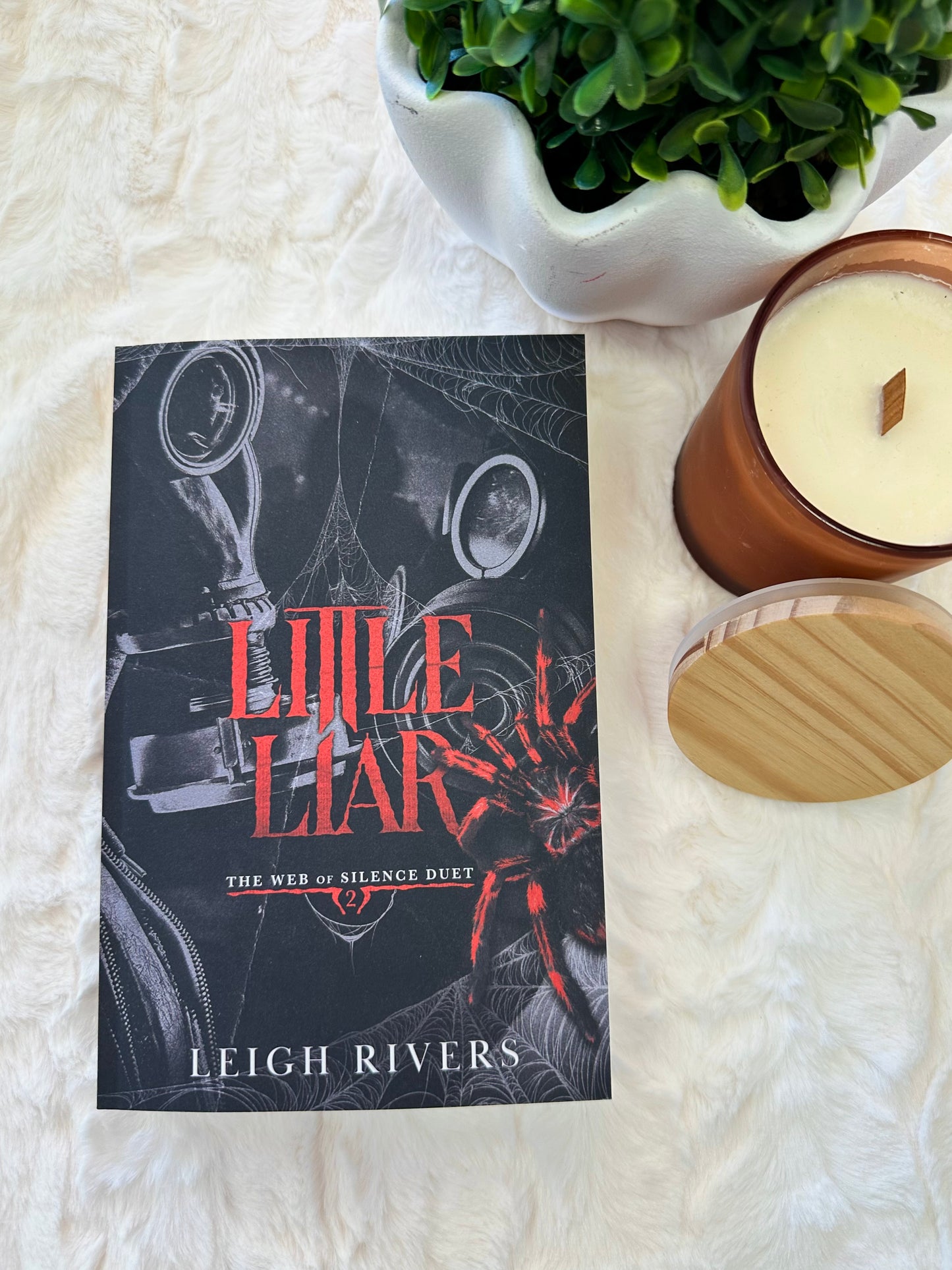 Little Liar by Leigh Rivers