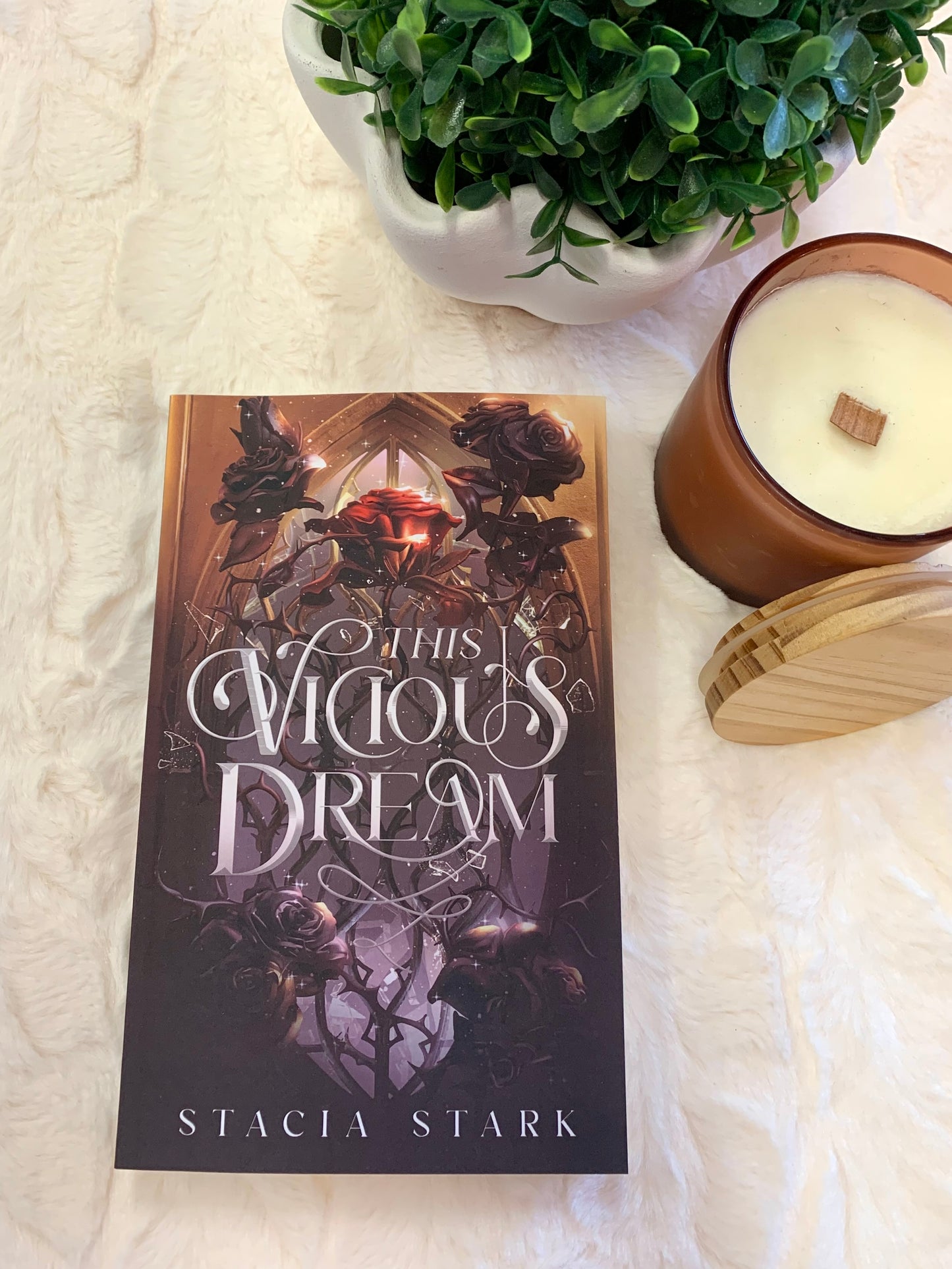 This Vicious Dream by Stacia Stark