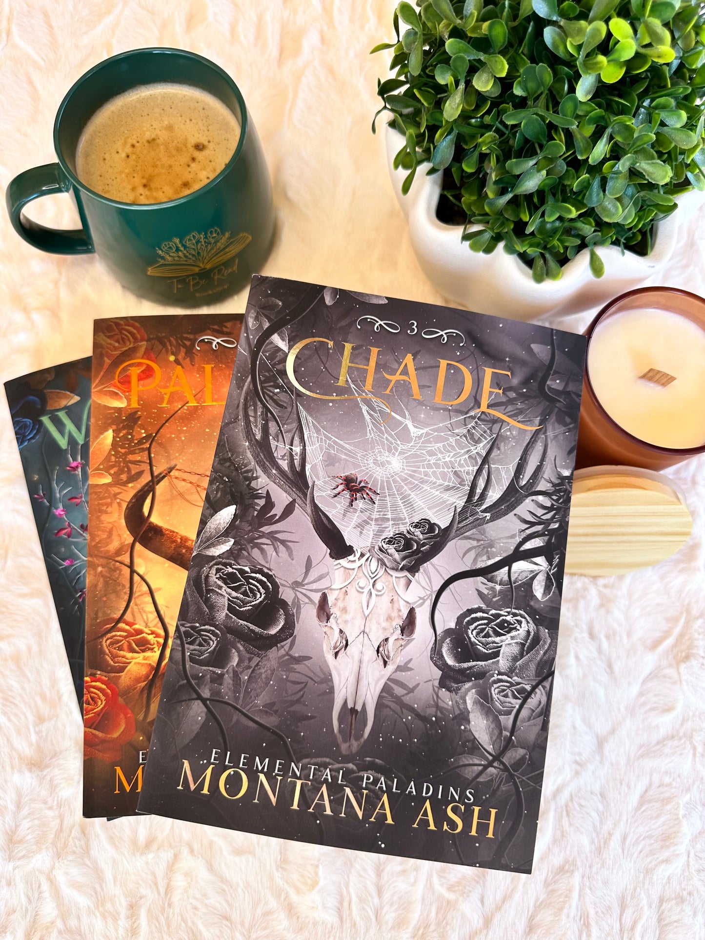 Custodian by Montana Ash