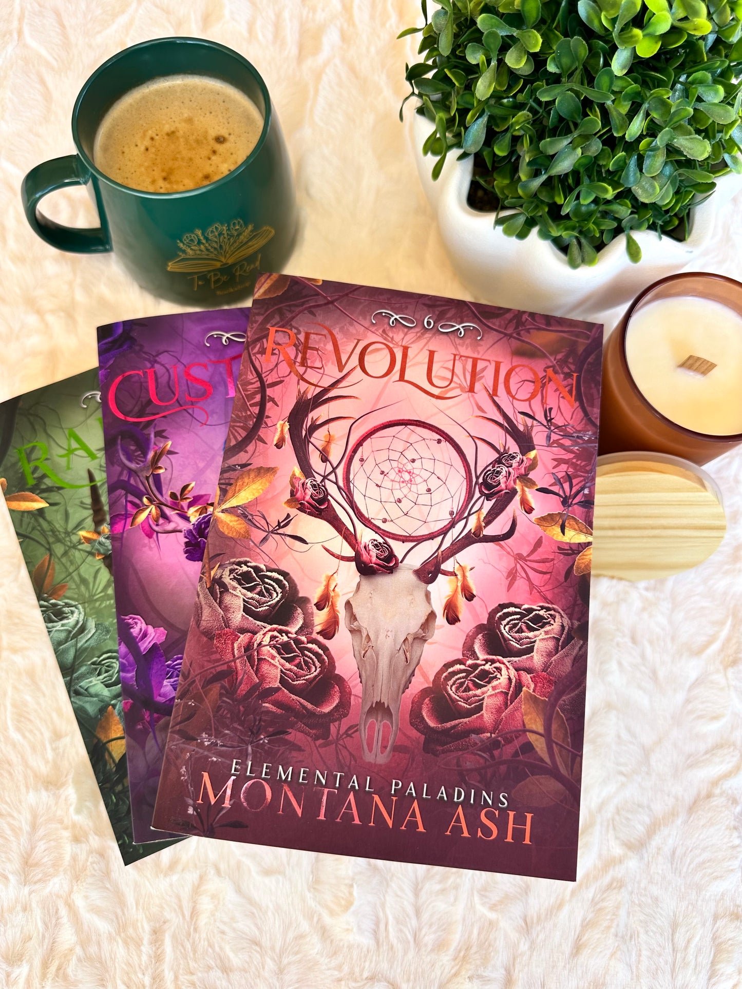 Custodian by Montana Ash
