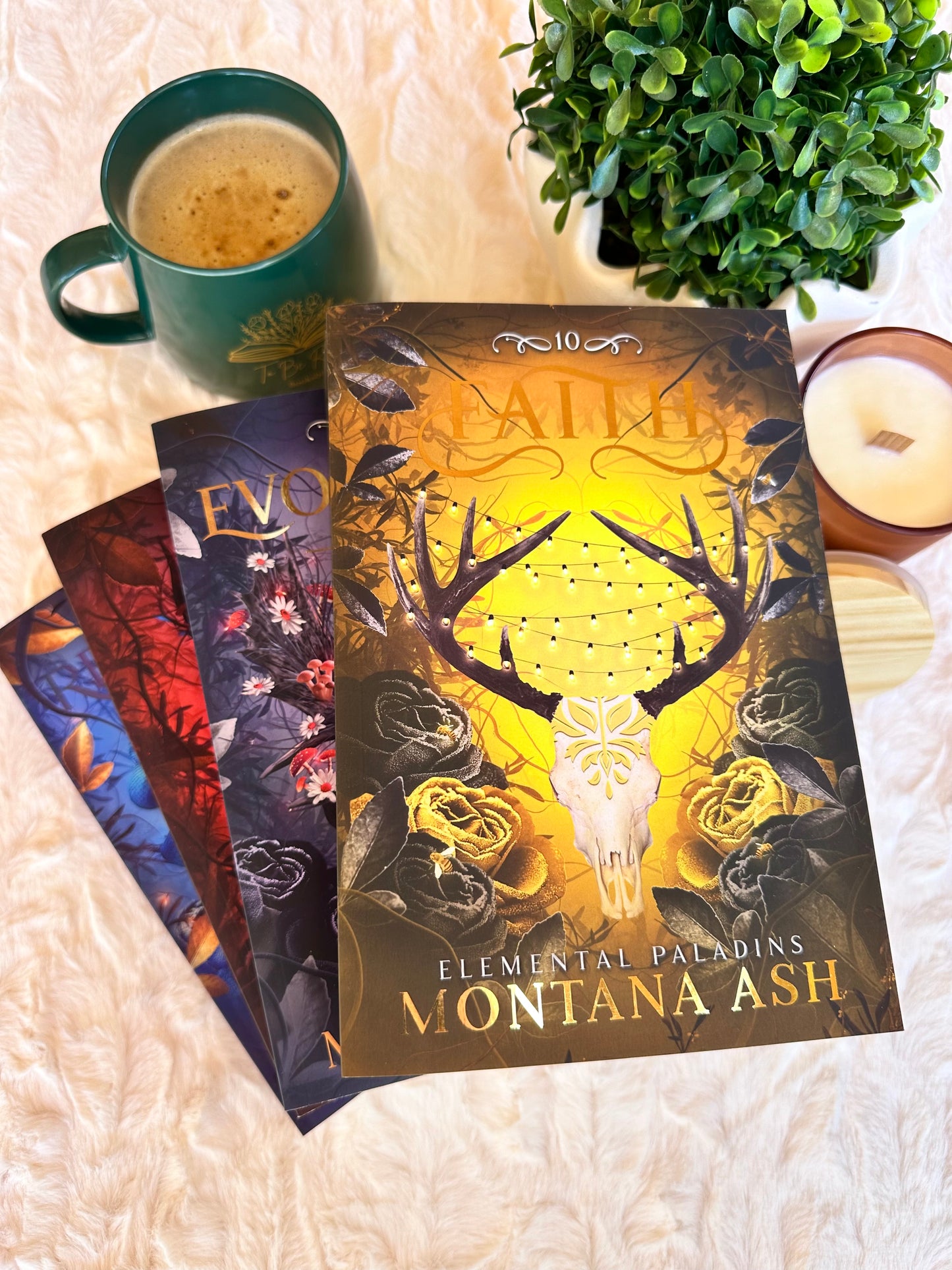 Custodian by Montana Ash