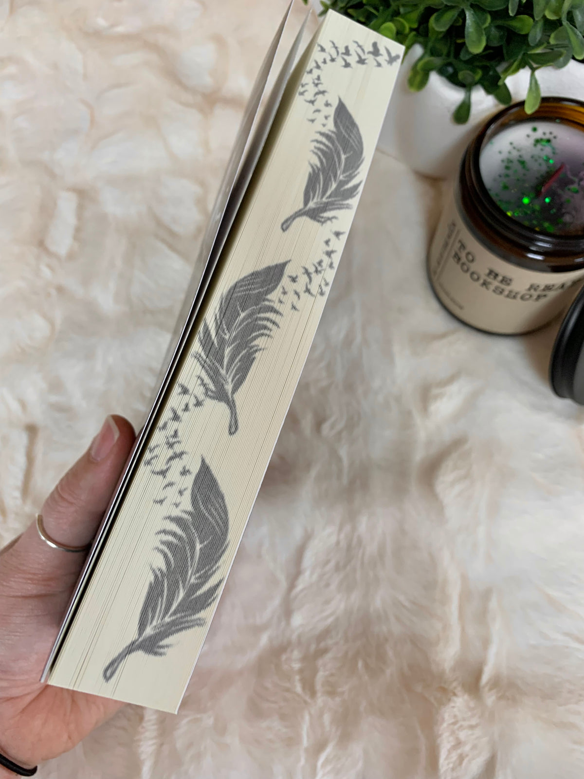 Feathers So Vicious by Liv Zander