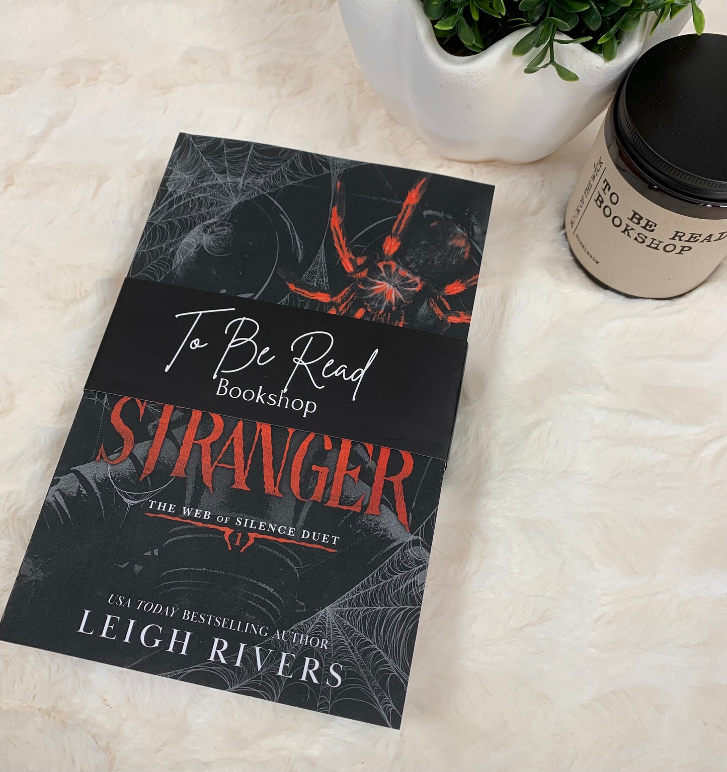 Web of Silence duet bundle by Leigh Rivers