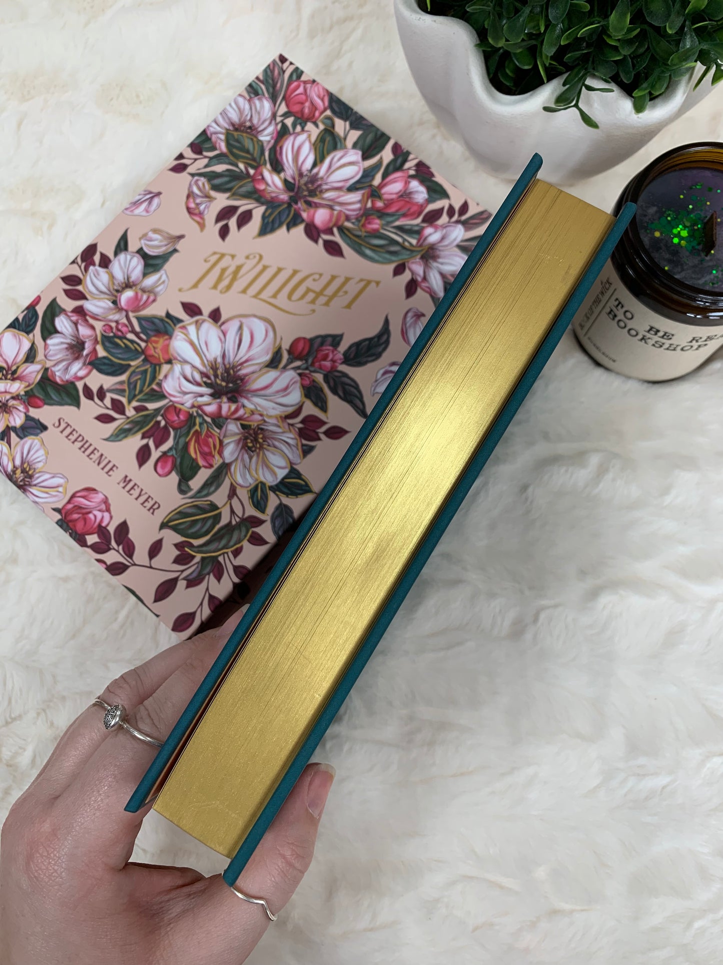 Twilight by Stephanie Meyer Special Edition