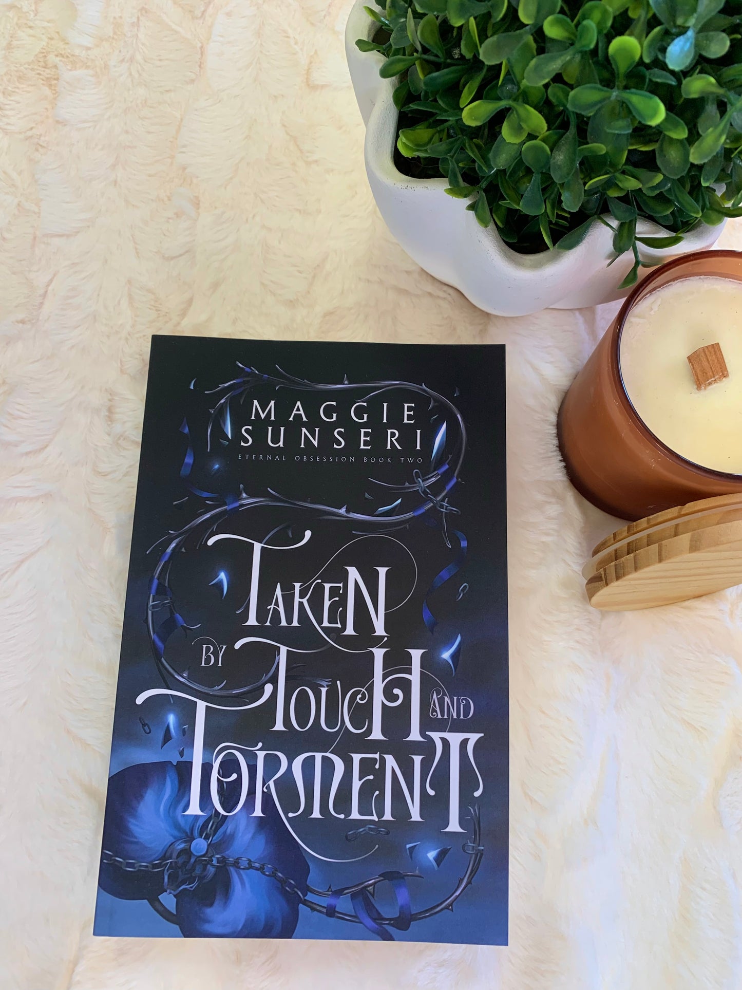 Taken by Touch and Torment by Maggie Sunseri