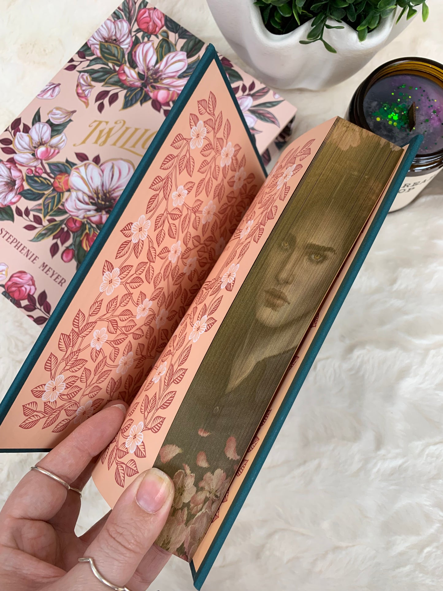 Twilight by Stephanie Meyer Special Edition