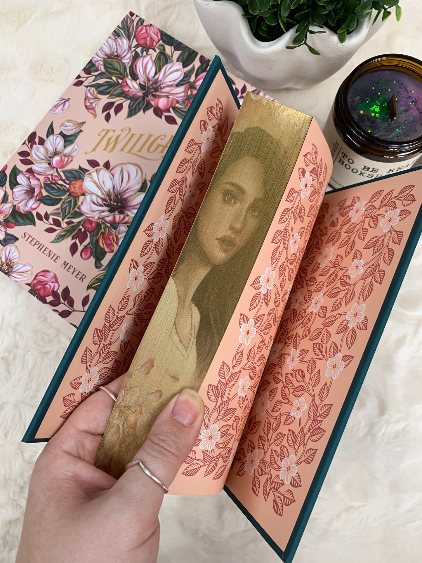 Twilight by Stephanie Meyer Special Edition