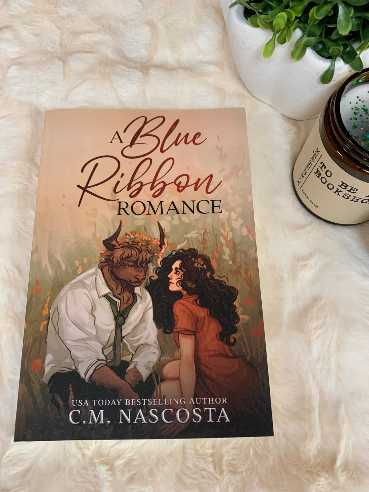 A Blue Ribbon Romance by C.M. Nascosta