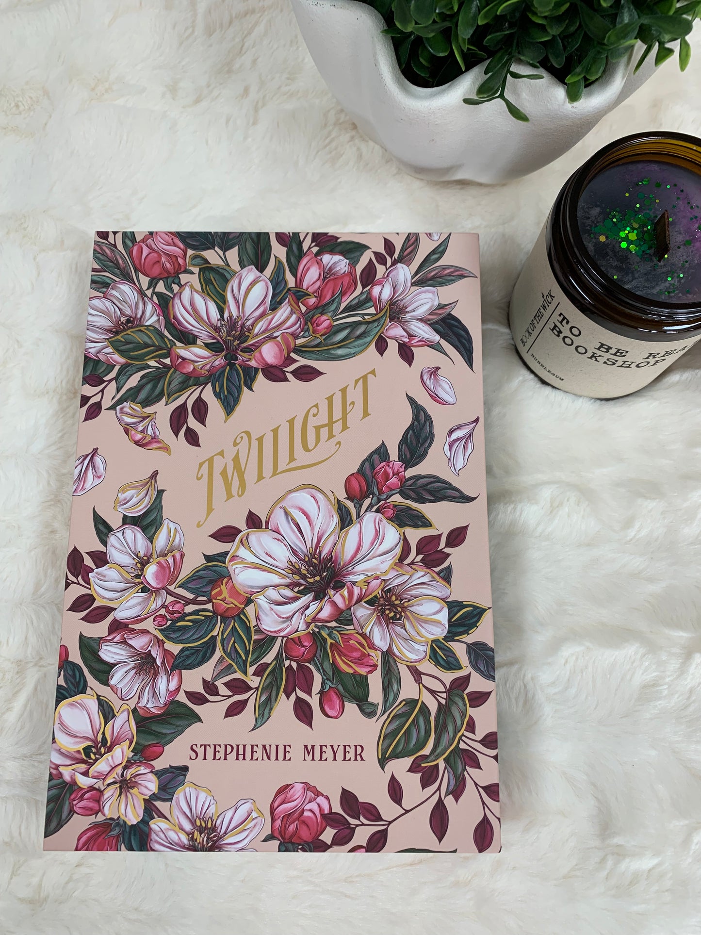 Twilight by Stephanie Meyer Special Edition