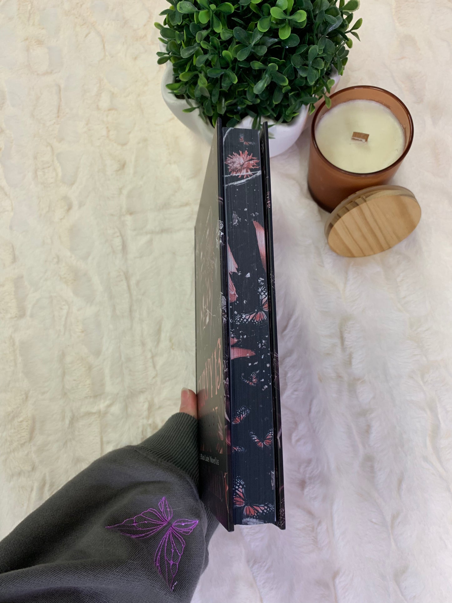 Curvy 13 Playlist Complete Trilogy by Nicci Harris