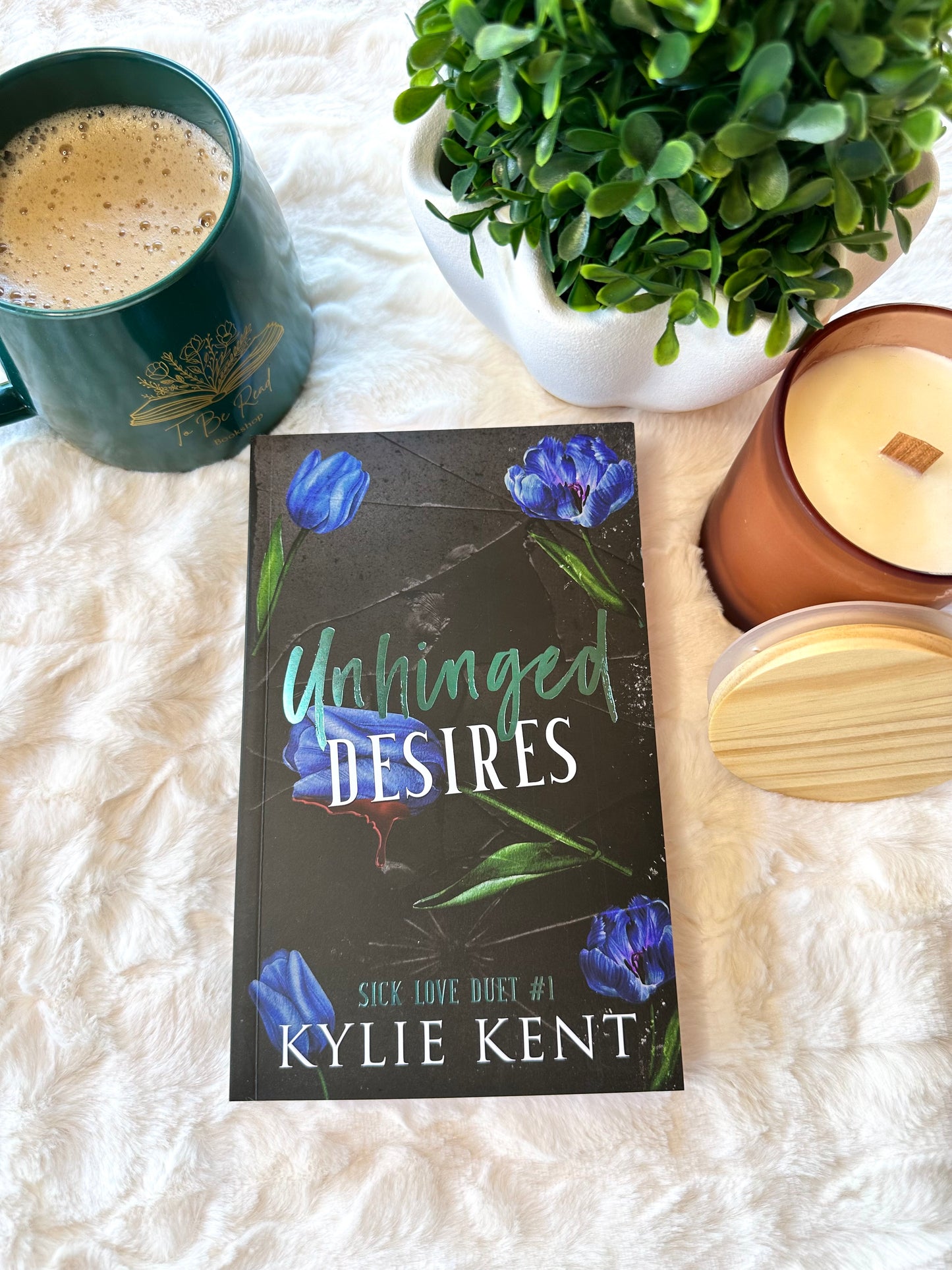 Certifiable Attraction By Kylie Kent
