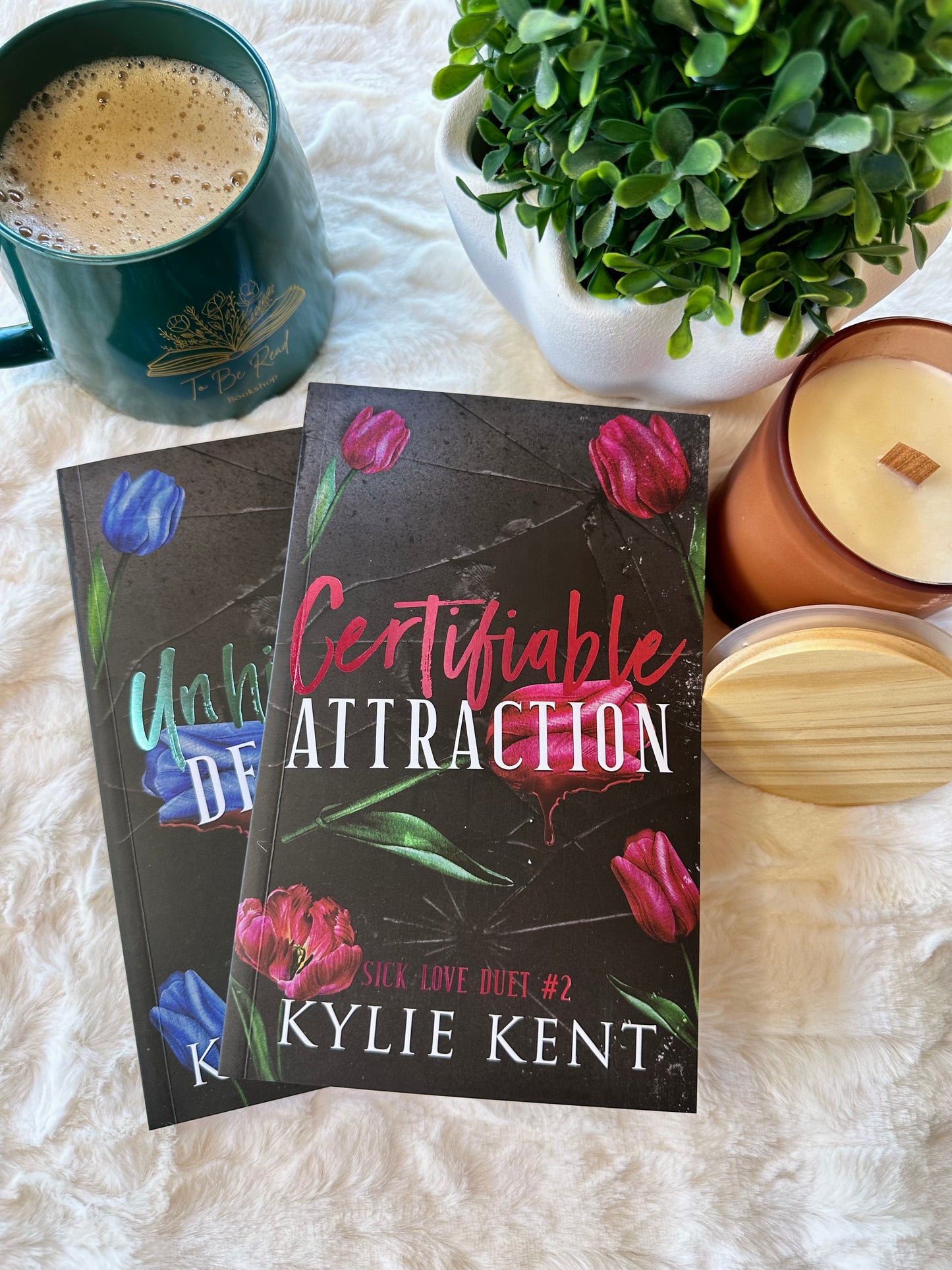 Certifiable Attraction By Kylie Kent