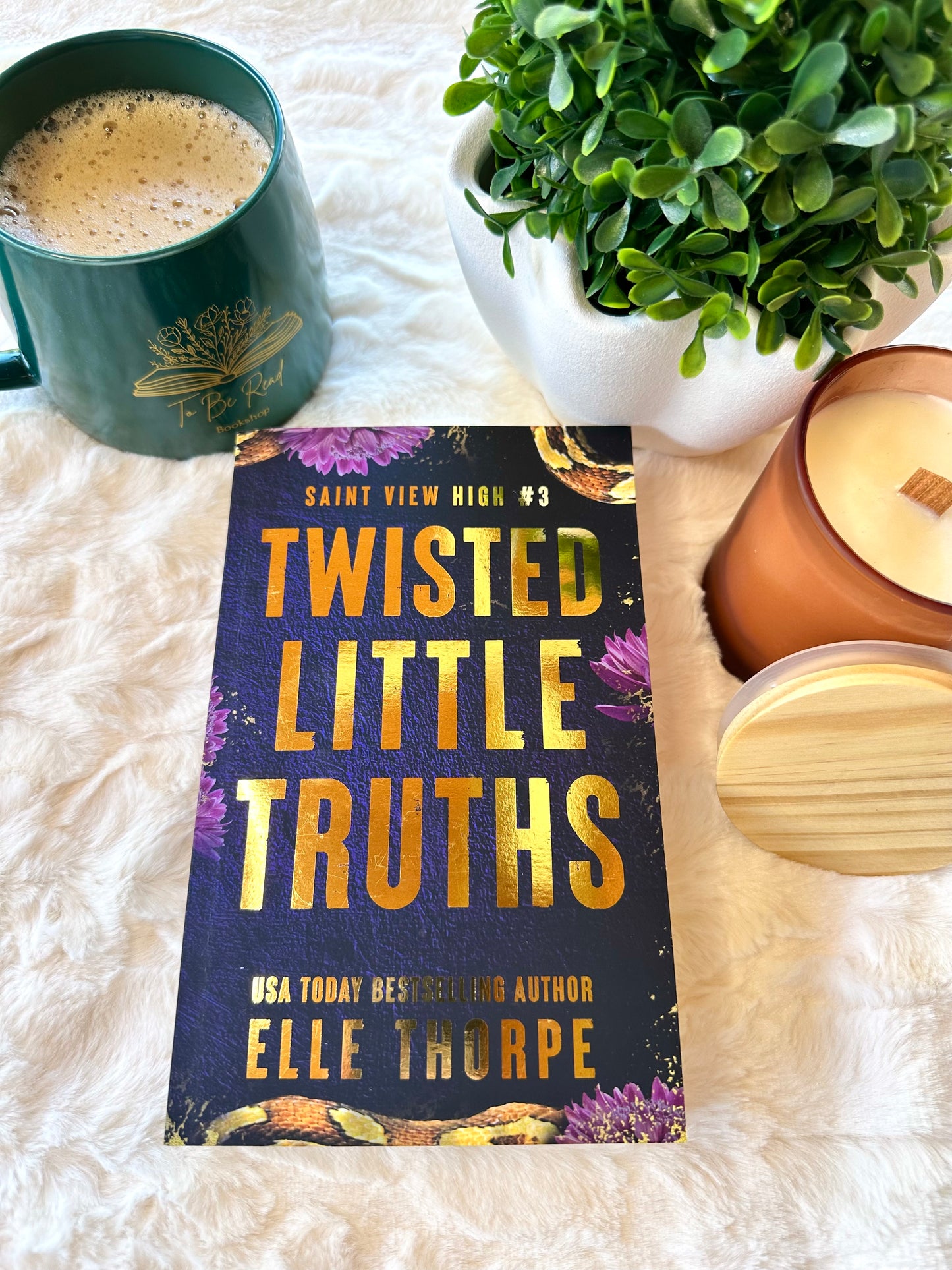 Twisted Little Truths by Elle Thorpe