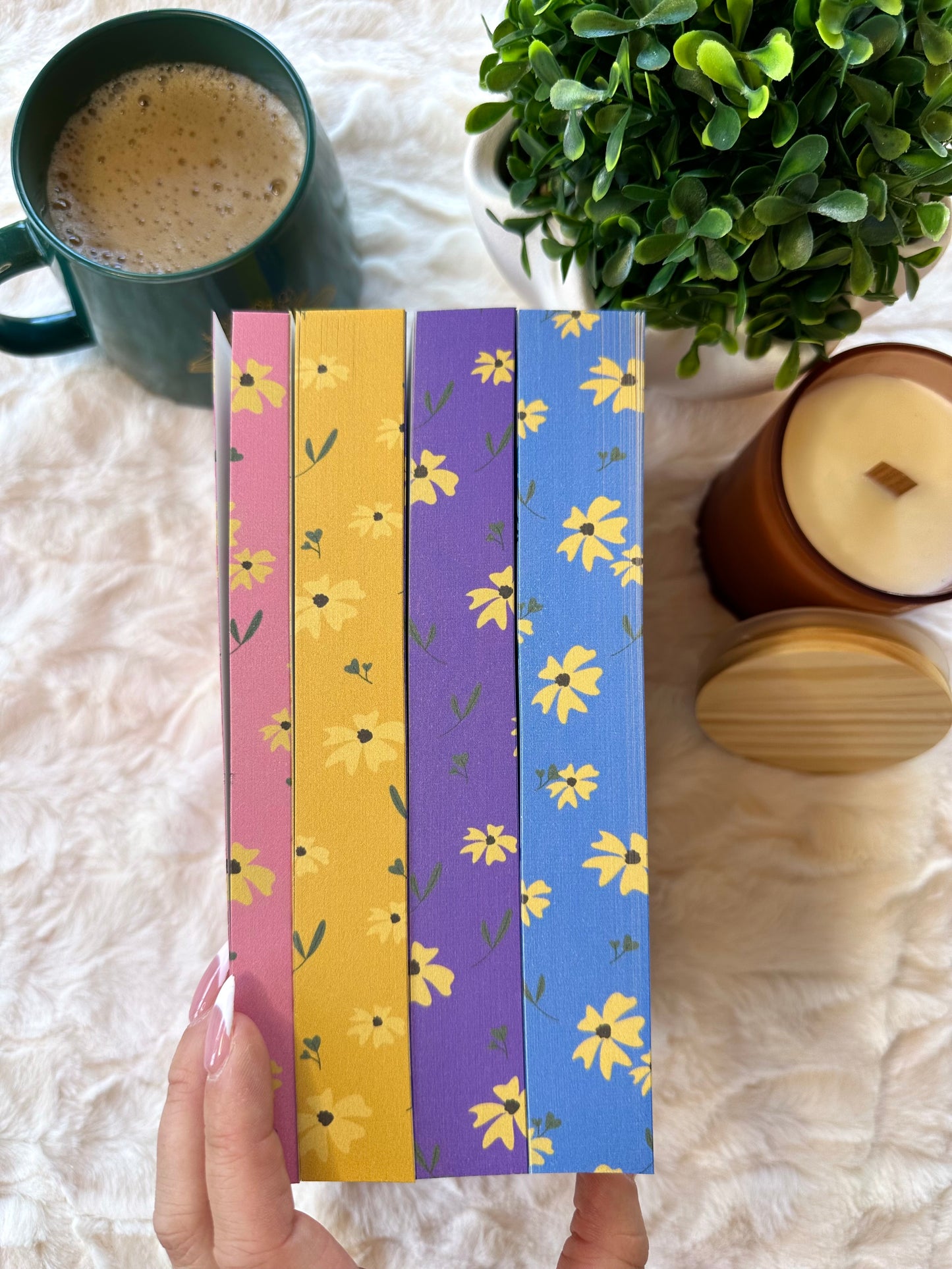 Buck Cowboys Special Edition Bundle by Elle Thorpe