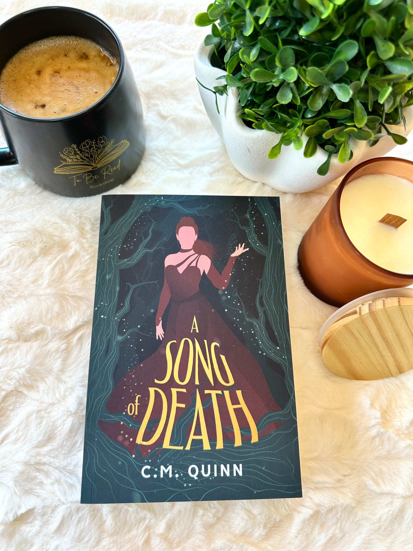 A Song of Death by C.M.Quinn