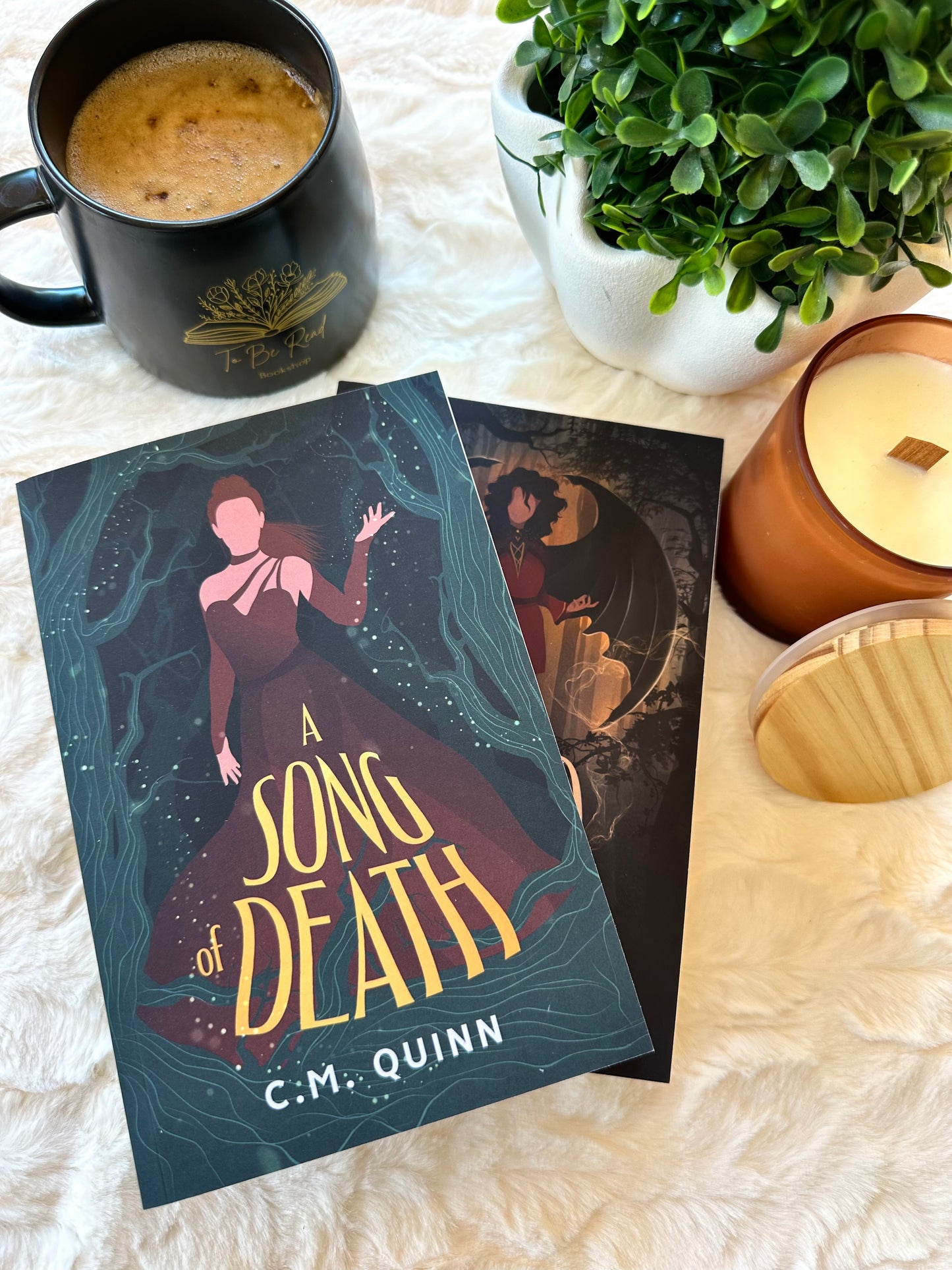 A Song of Death by C.M.Quinn