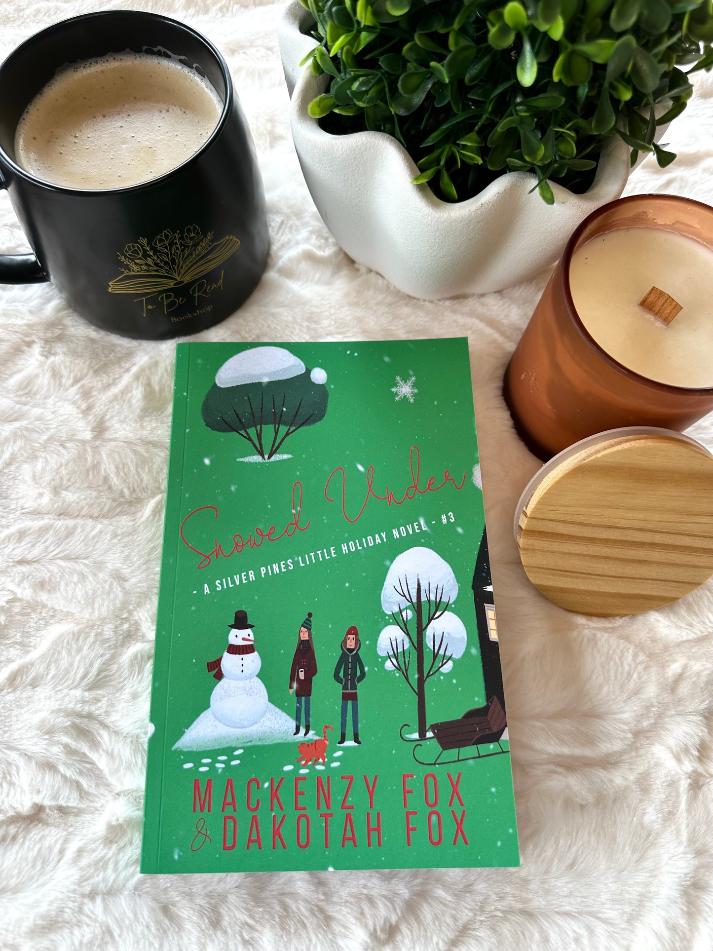Snowed Under by Mackenzy and Dakotah Fox