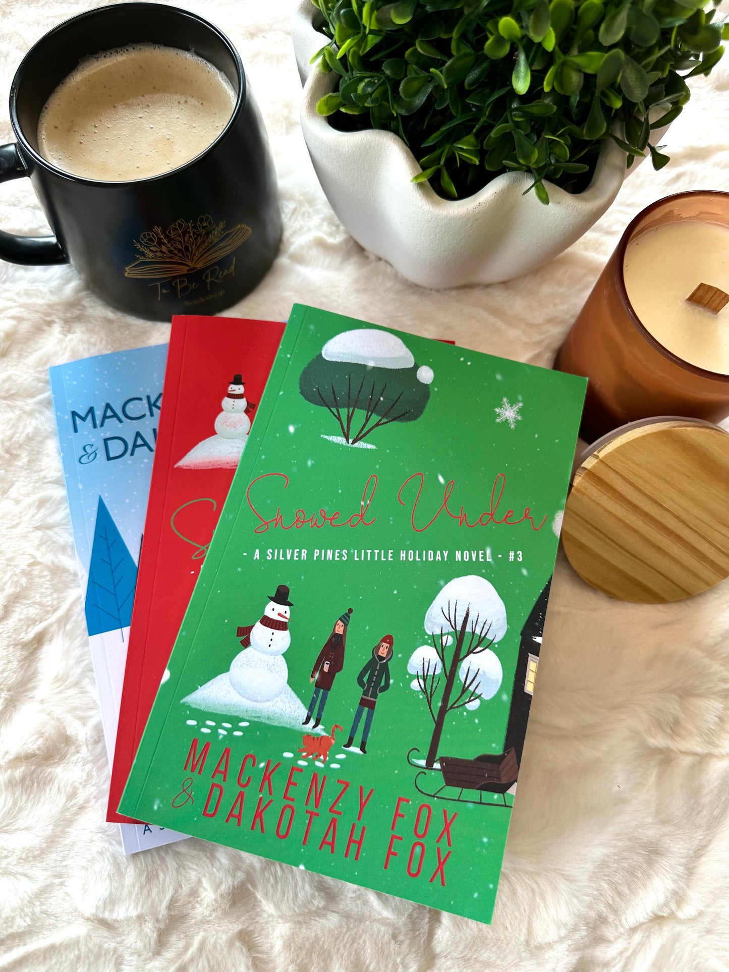 Snowed Under by Mackenzy and Dakotah Fox