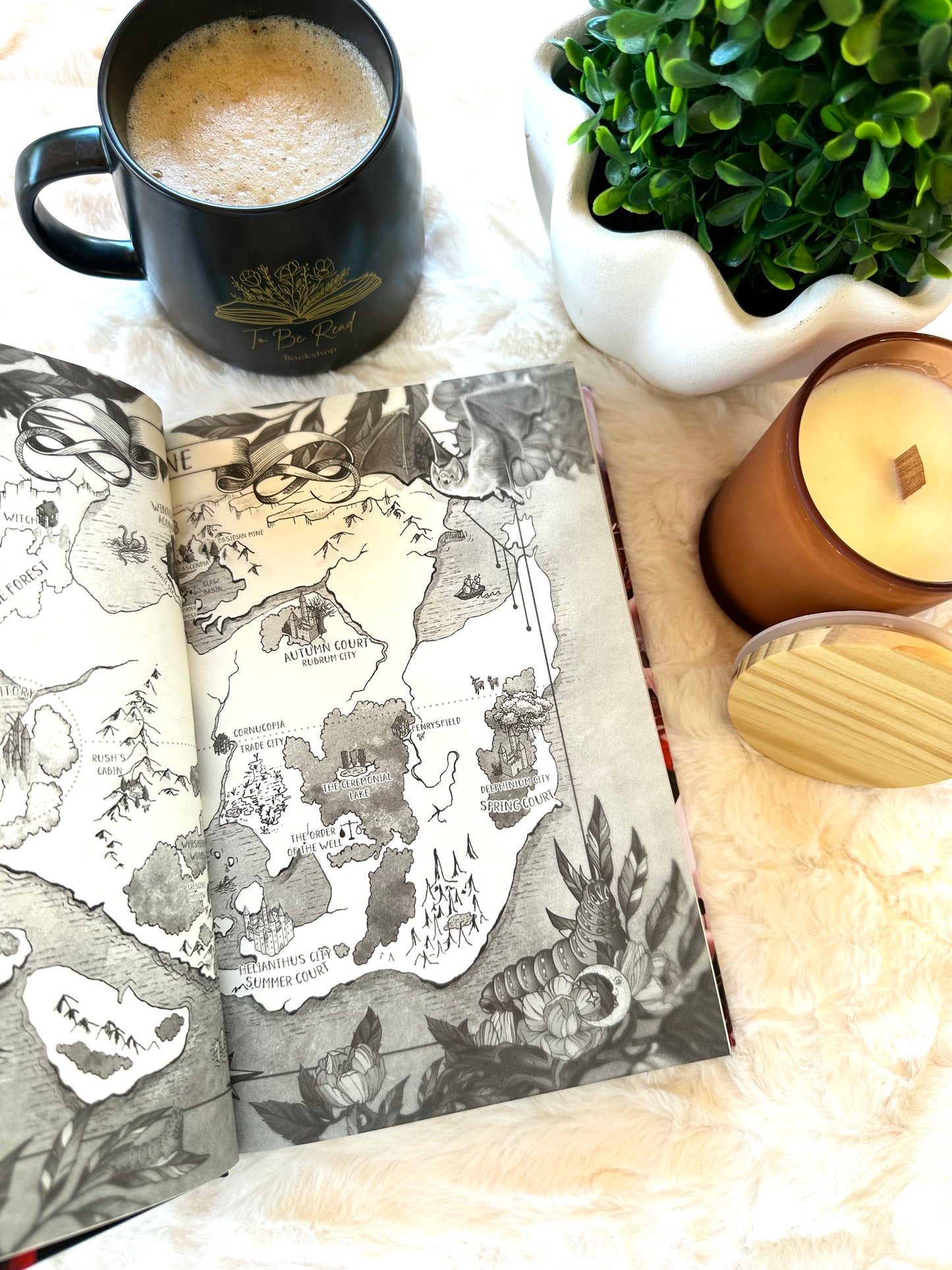 The Secrets in Shadow and Blood by Lana Pecherczyk