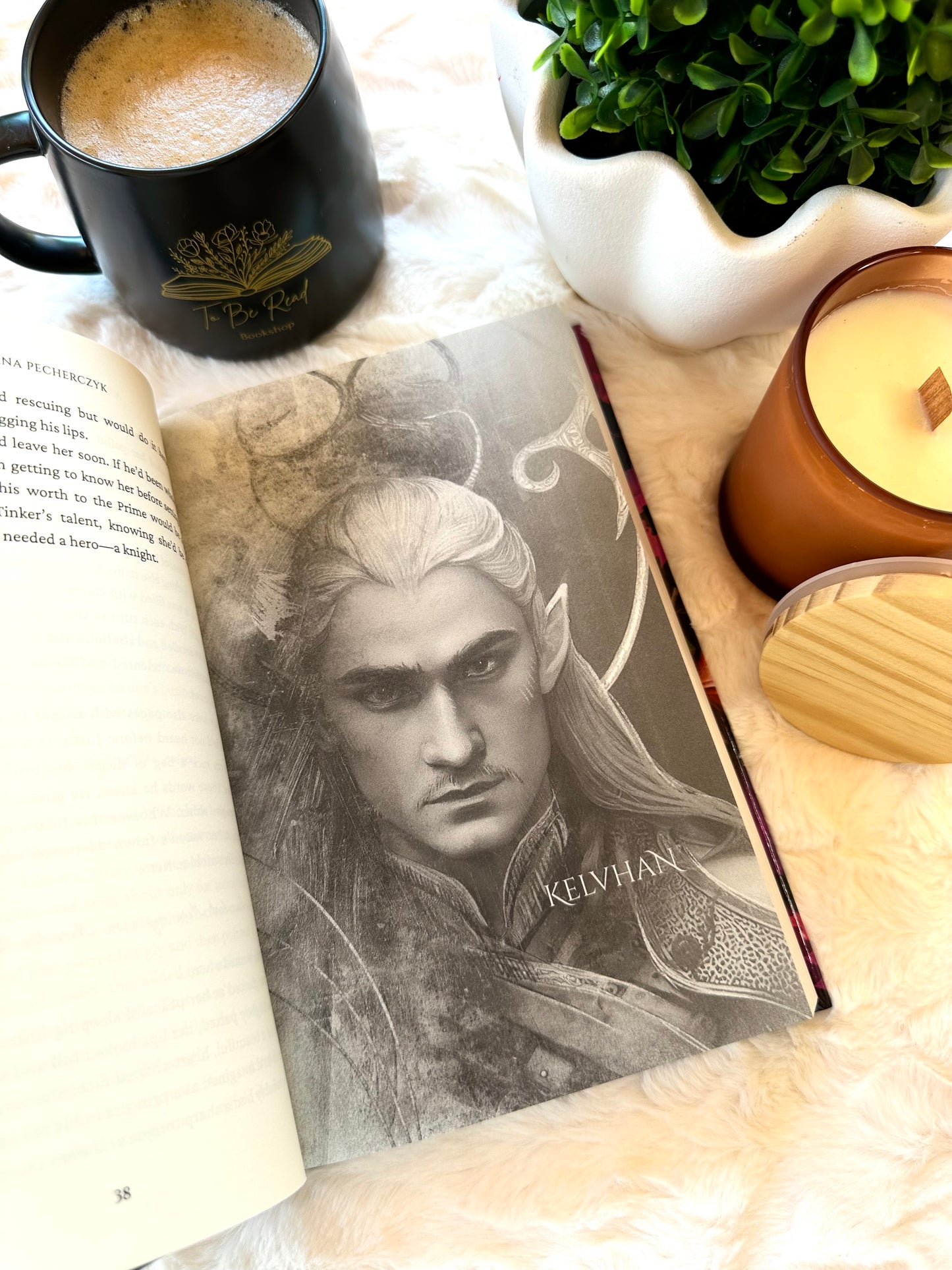 A Crown of Cruel Lies by Lana Pecherczyk