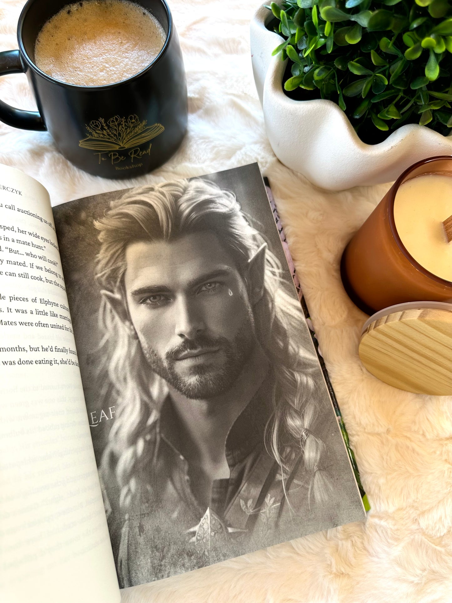 A War of Ruin and Reckoning by Lana Pecherczyk