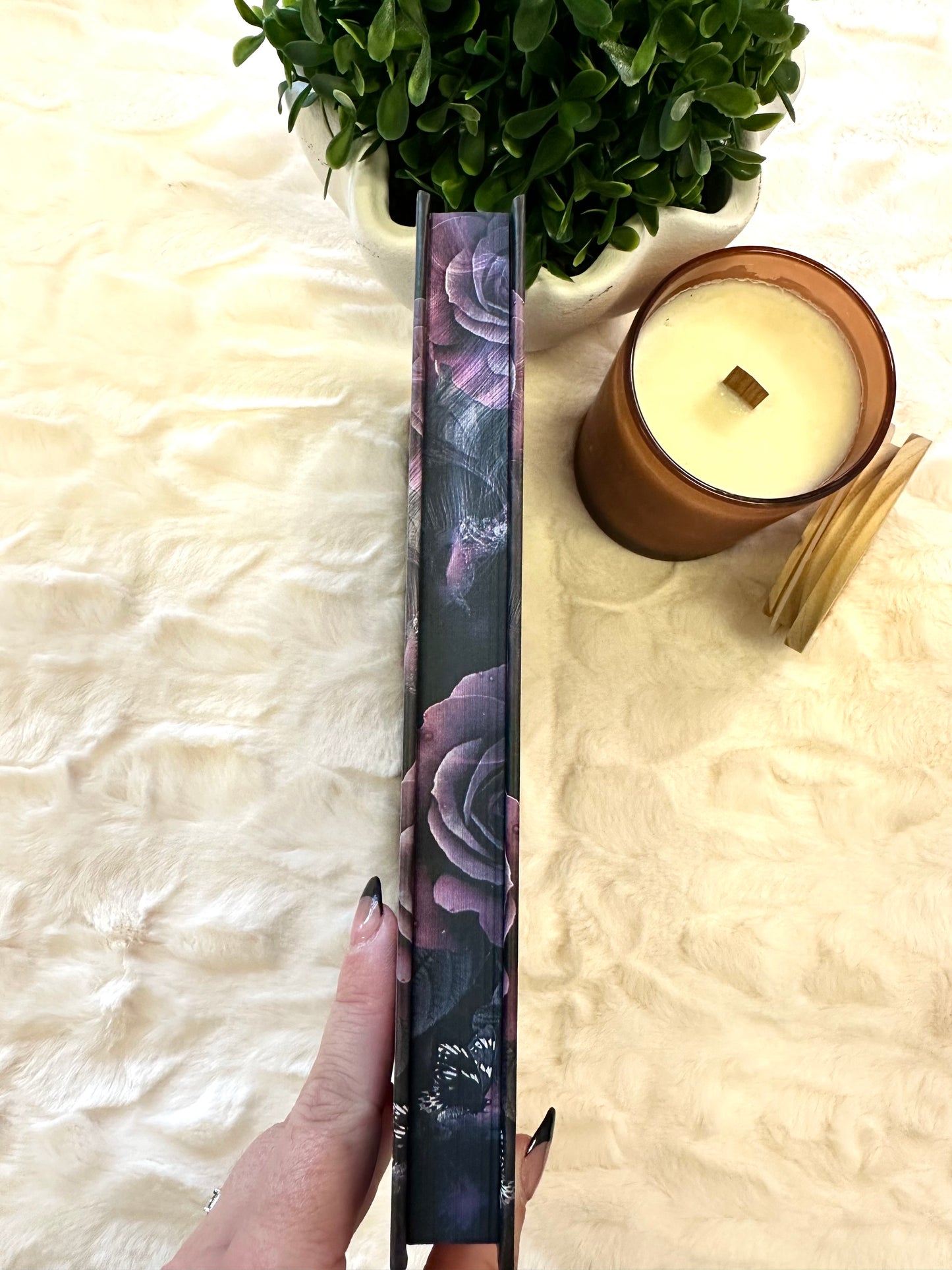 Darkest Sin Special Edition by Sheridan Anne