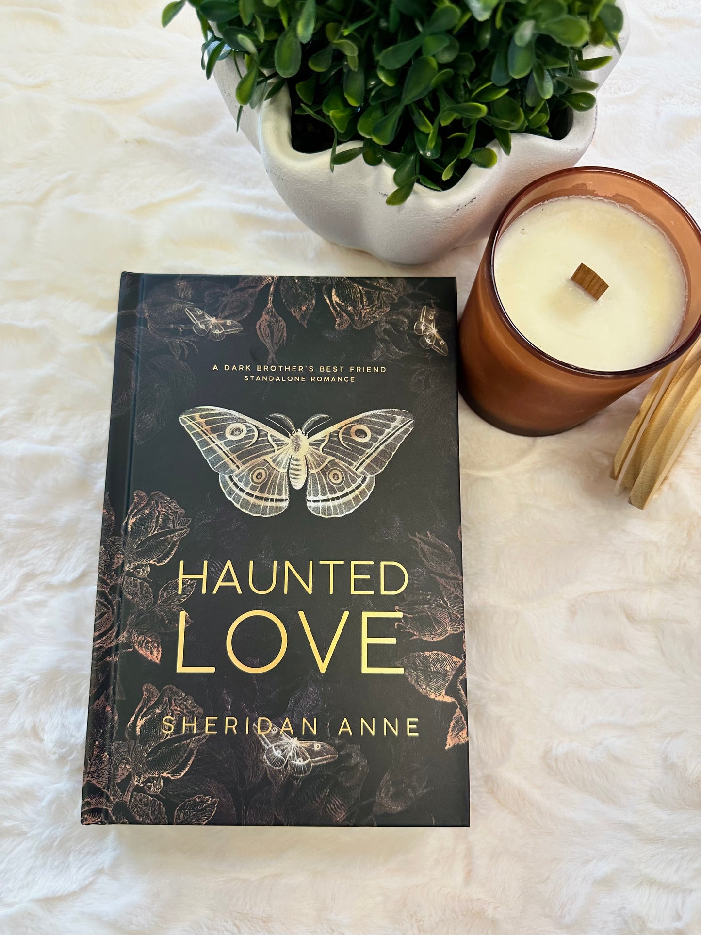 Haunted Love Special Edition by Sheridan Anne