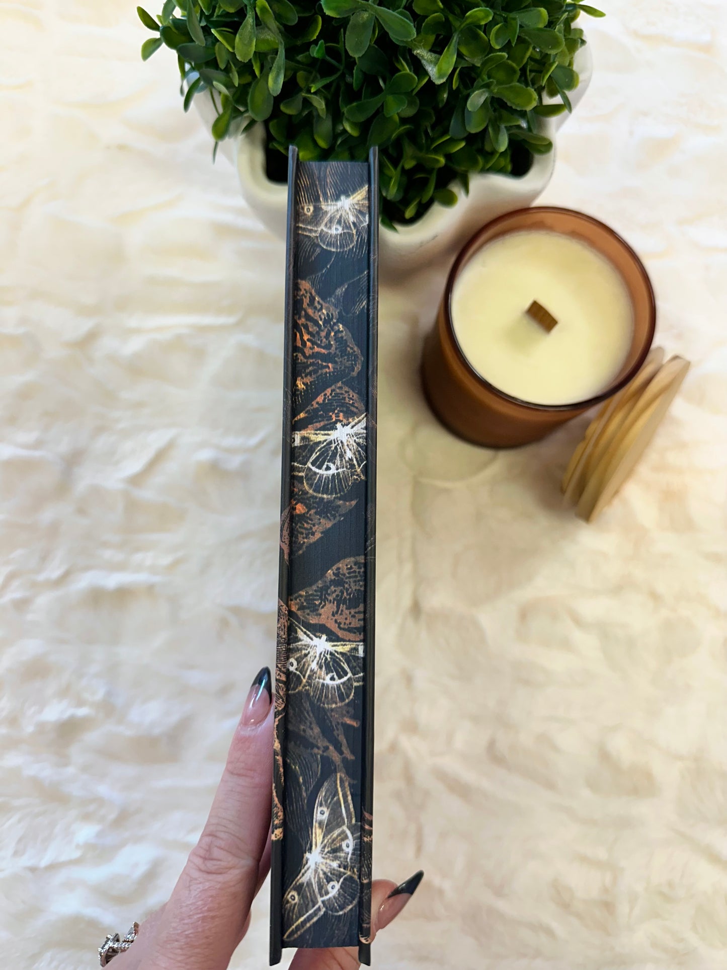 Haunted Love Special Edition by Sheridan Anne