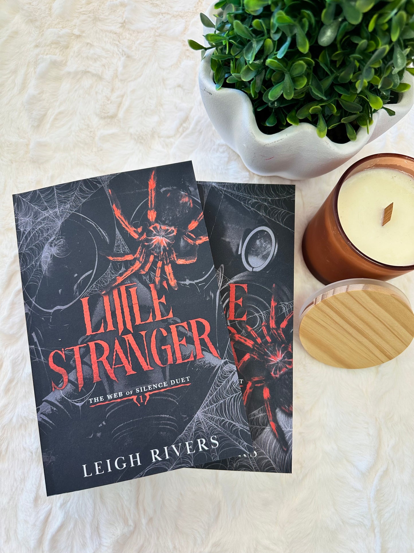 Little Liar by Leigh Rivers
