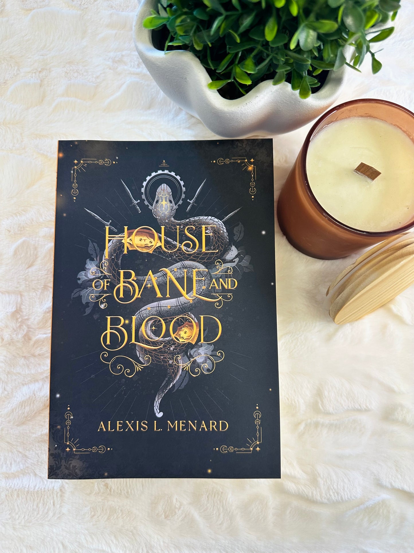 House of Bane and Blood by Alexis L Menard