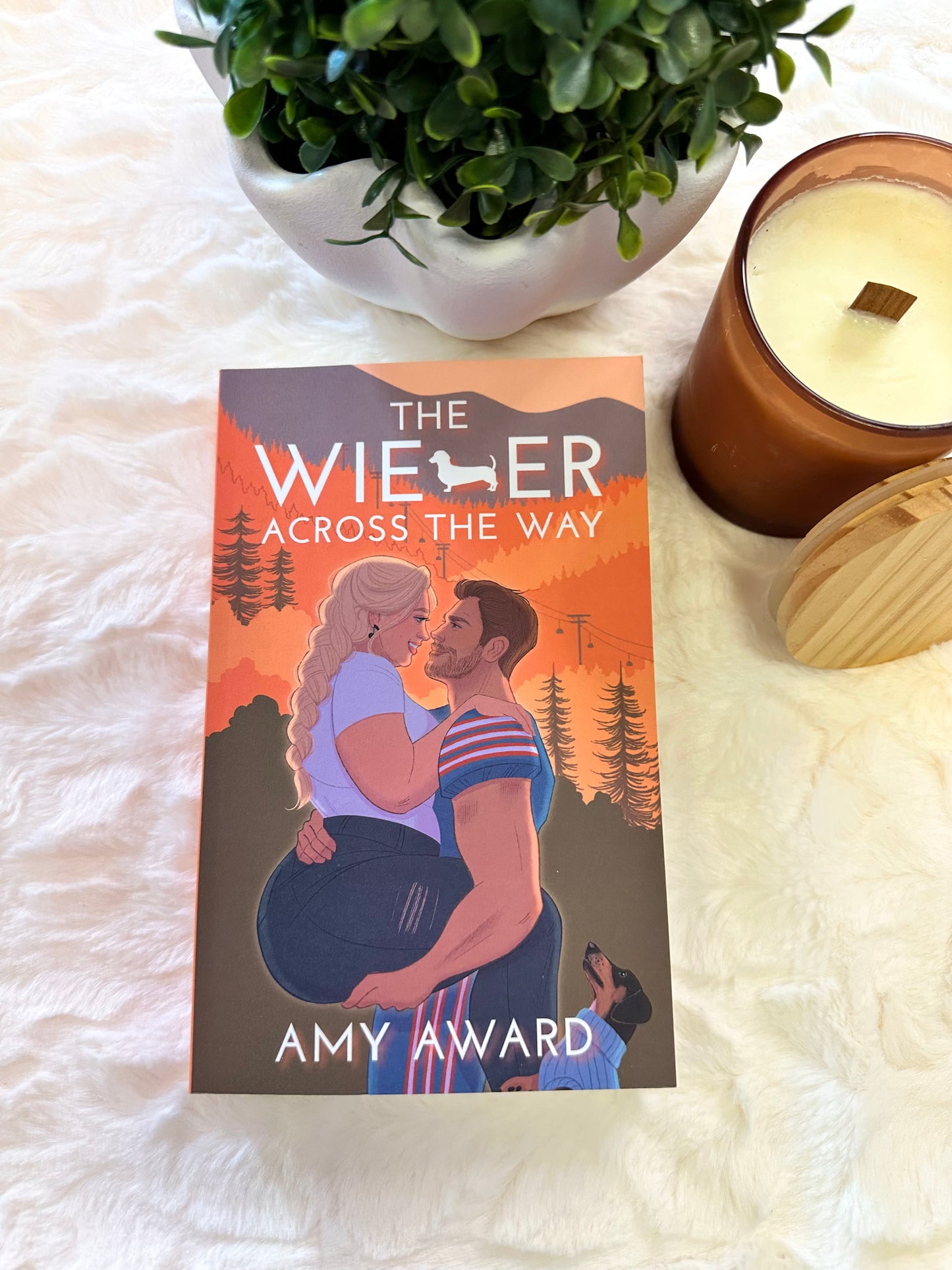 The Wiener Across the Way by Amy Award