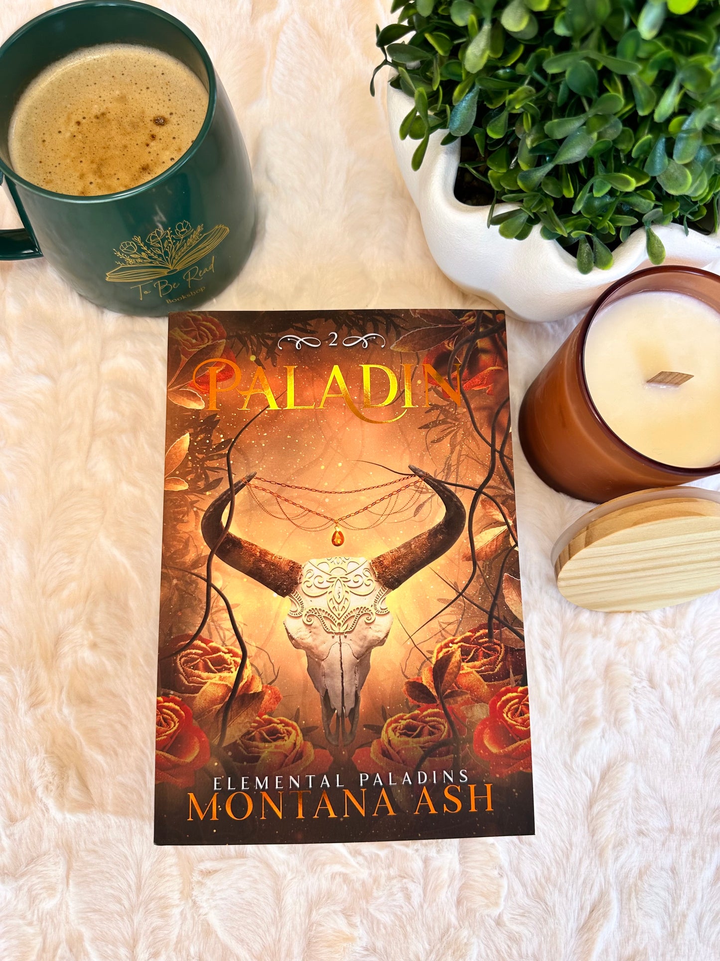 Paladin by Montana Ash