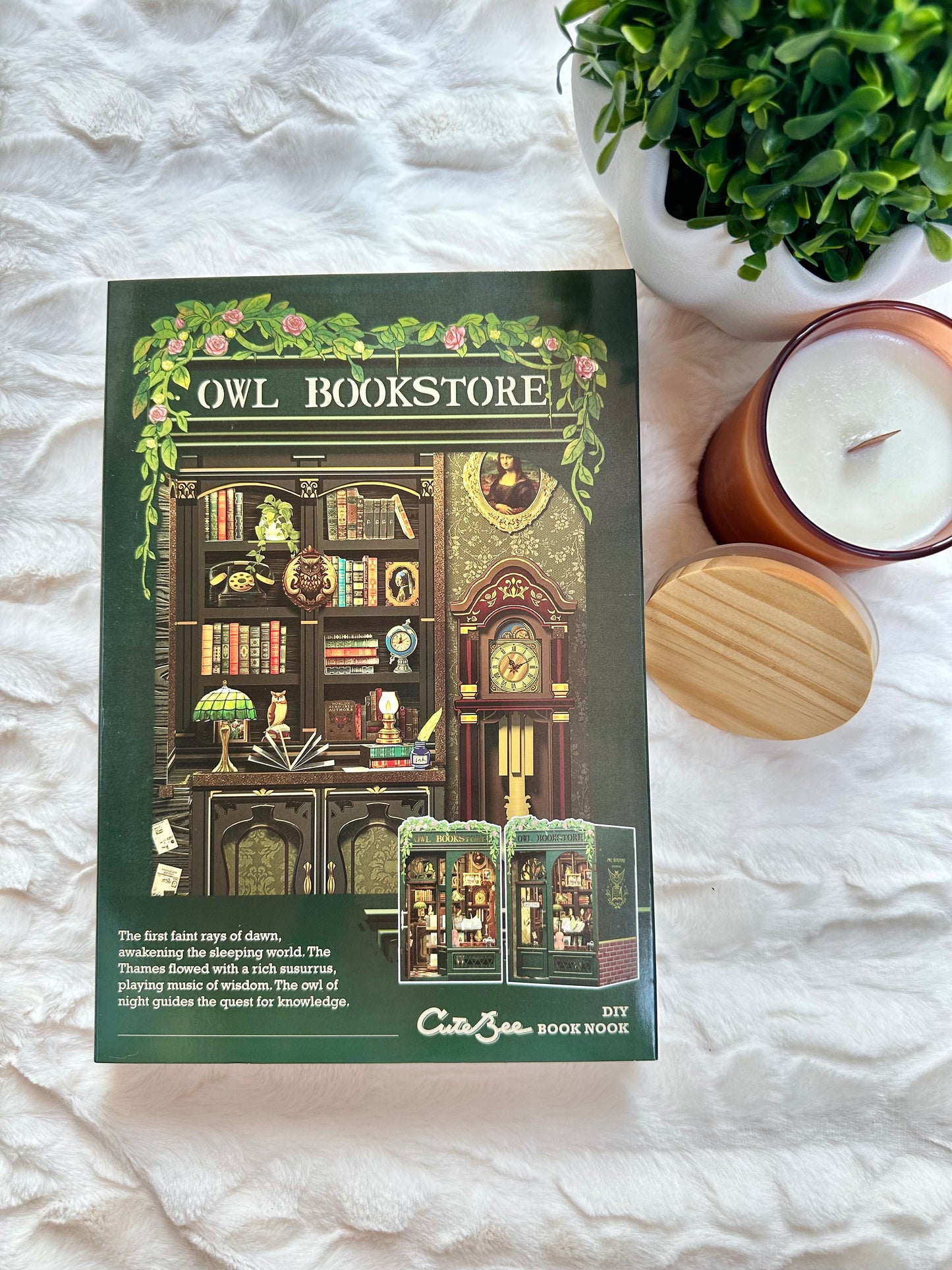 Owl Bookstore Book Nook